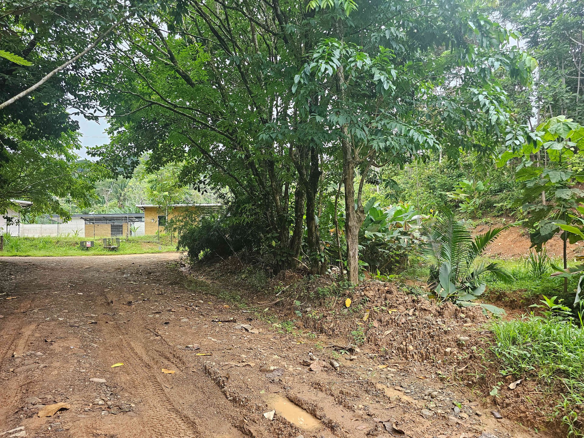 Discover Your Dream in Uvita's Prime Real Estate