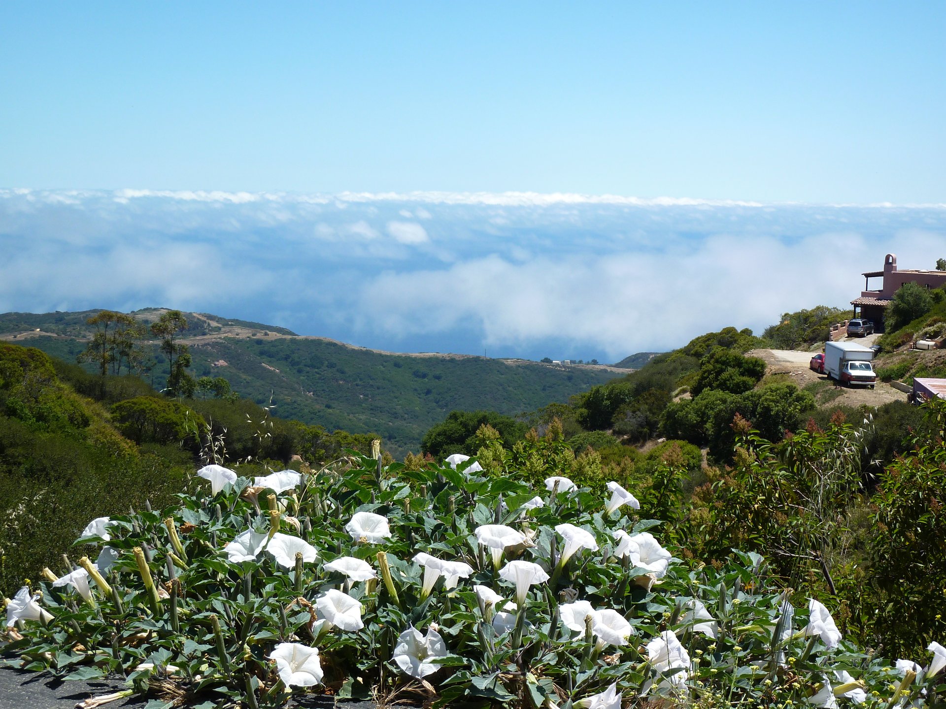 0 Little Las Flores Rd