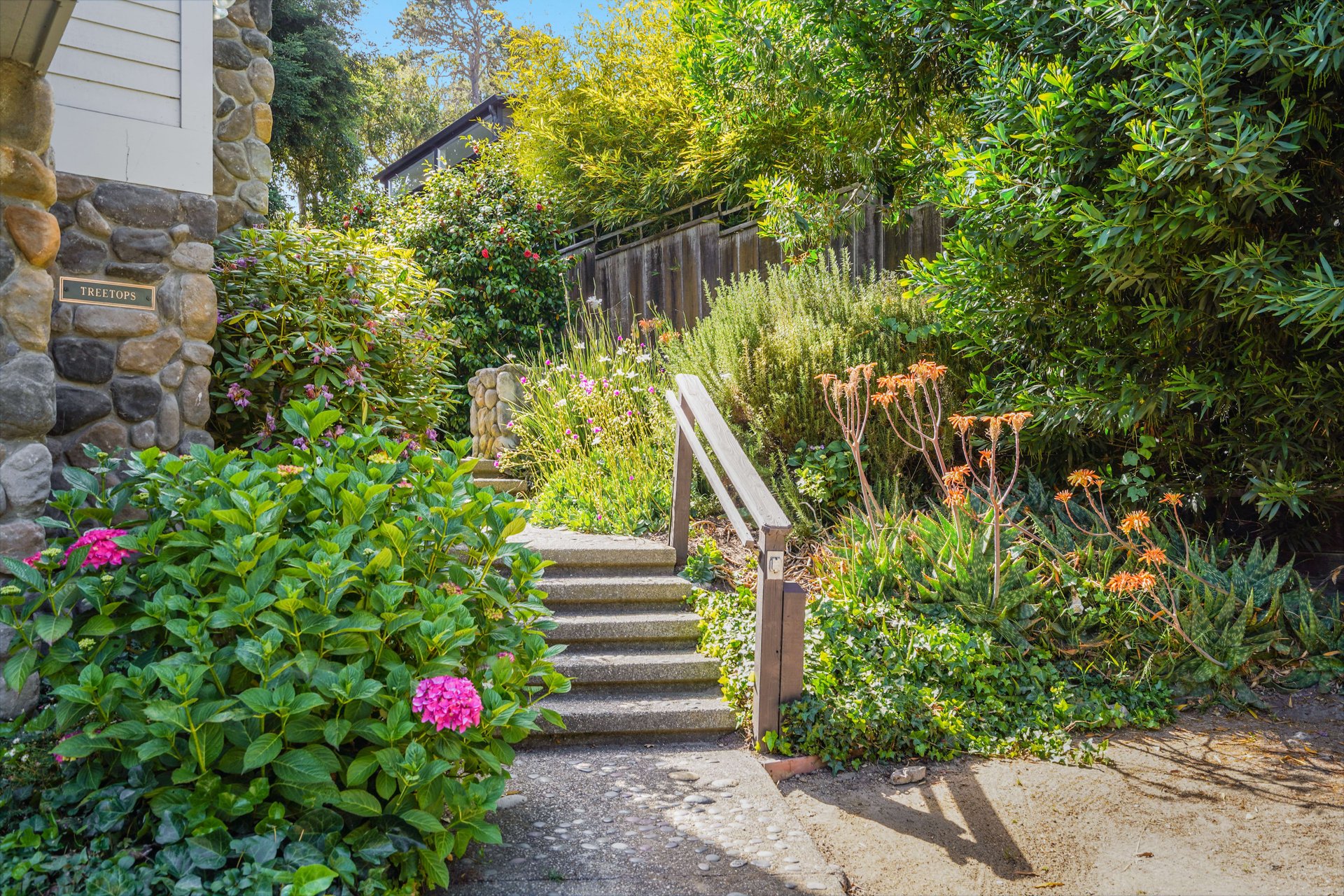 5 San Carlos 3rd Avenue