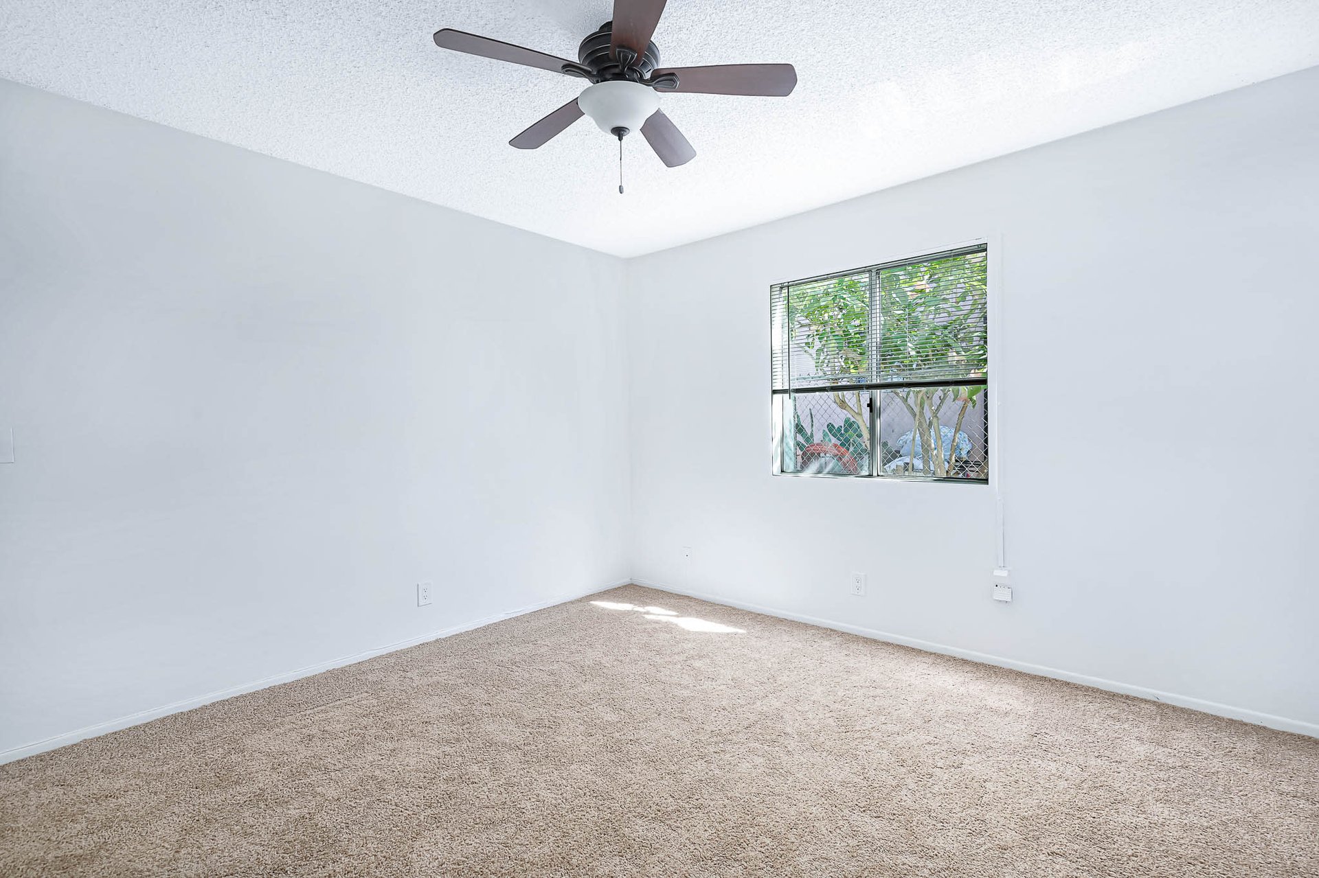 Incredible Triplex Apartment Opportunity near USC. Great Cash Flow. Vacant Lot in Rear for future Development!