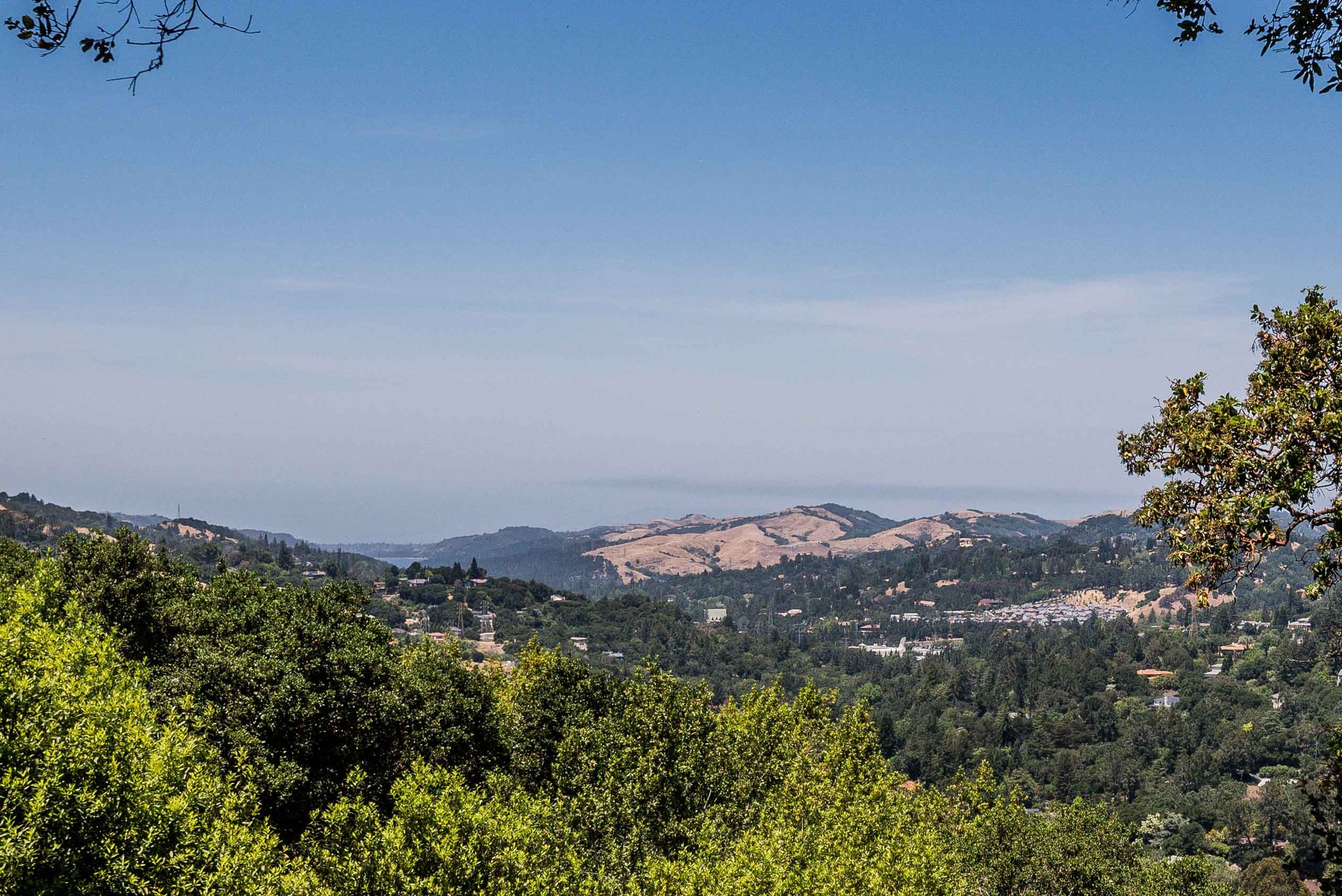 Crestview with a View!