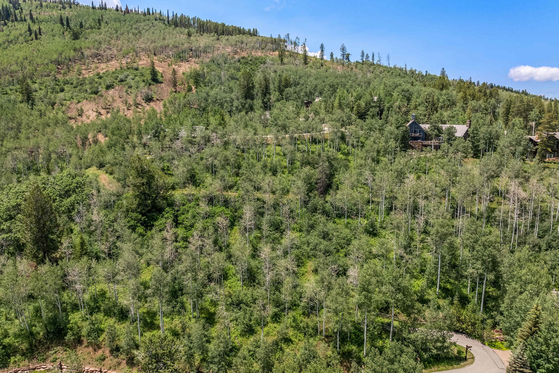 449 Black Bear Trail
