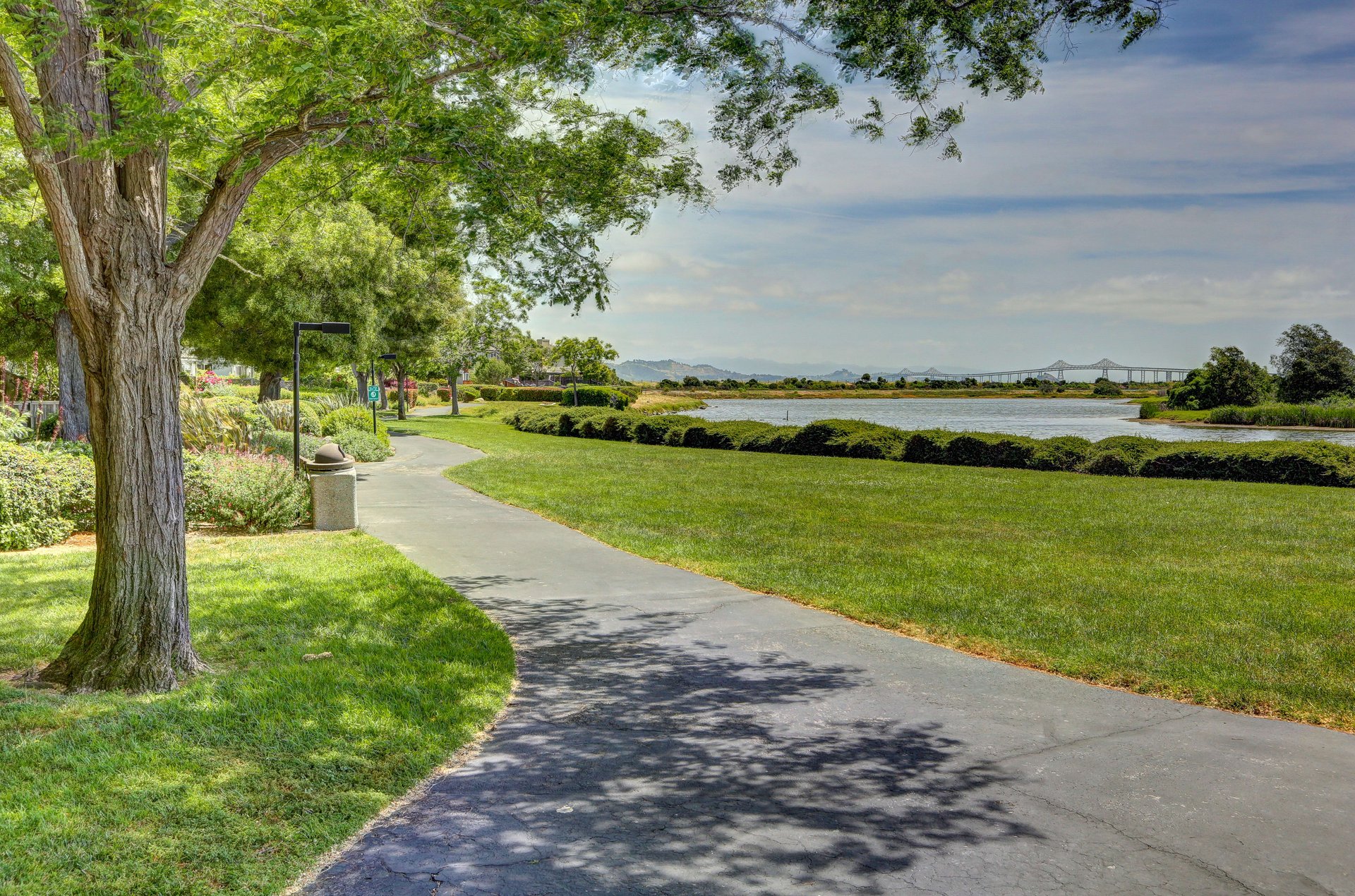 Vacation at Home on the Marin Bayshore