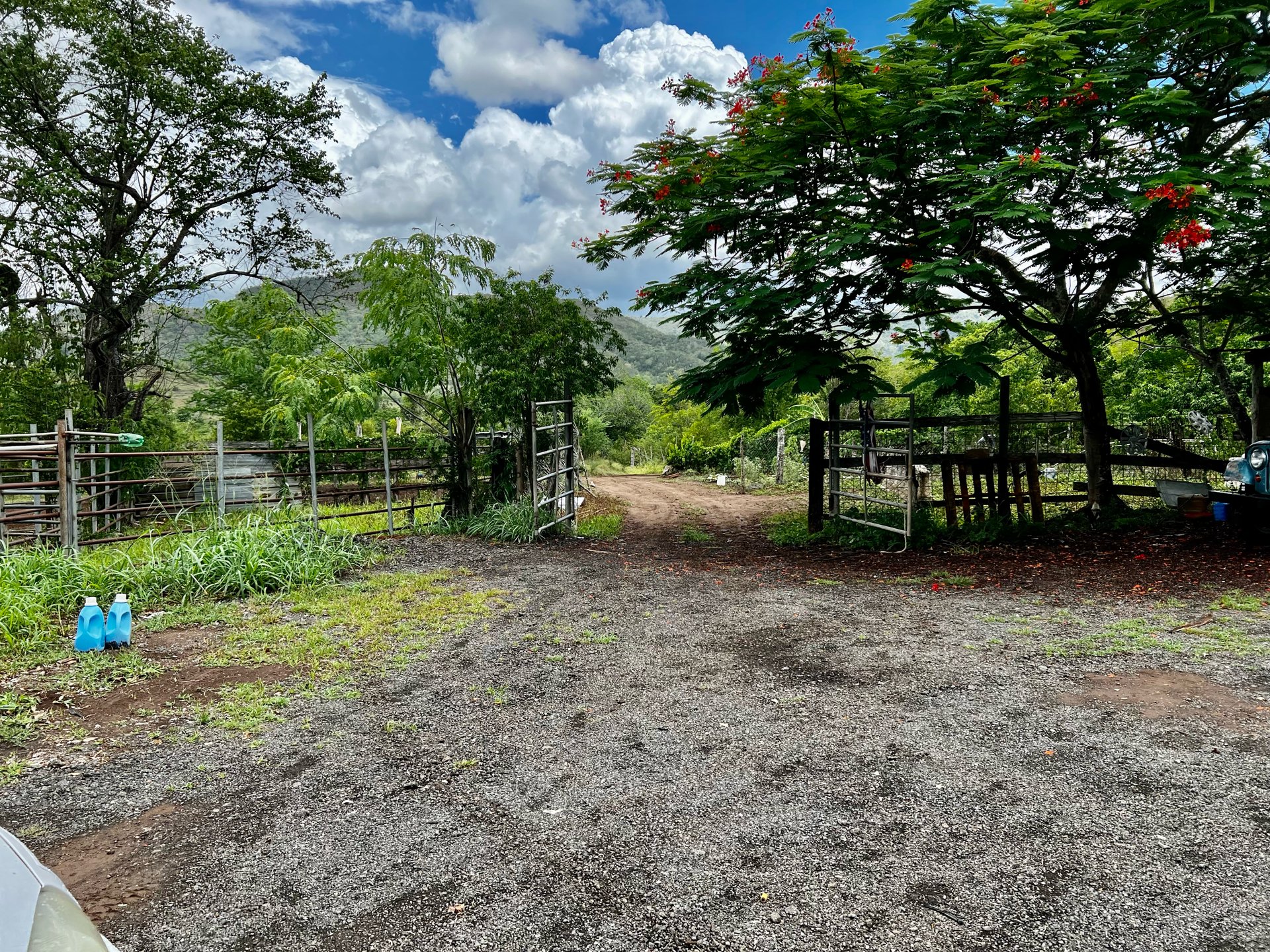 256  Acres  Precioso Coamo