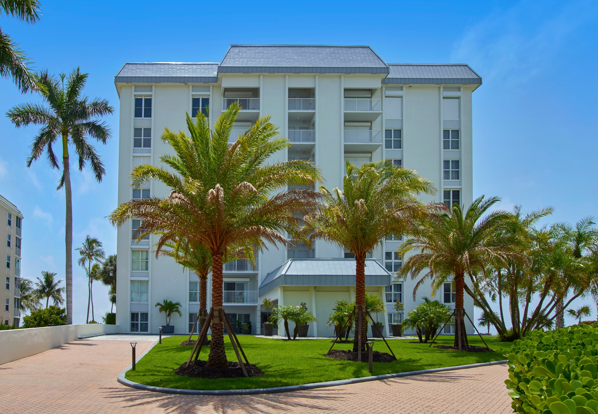 COQUINA SANDS