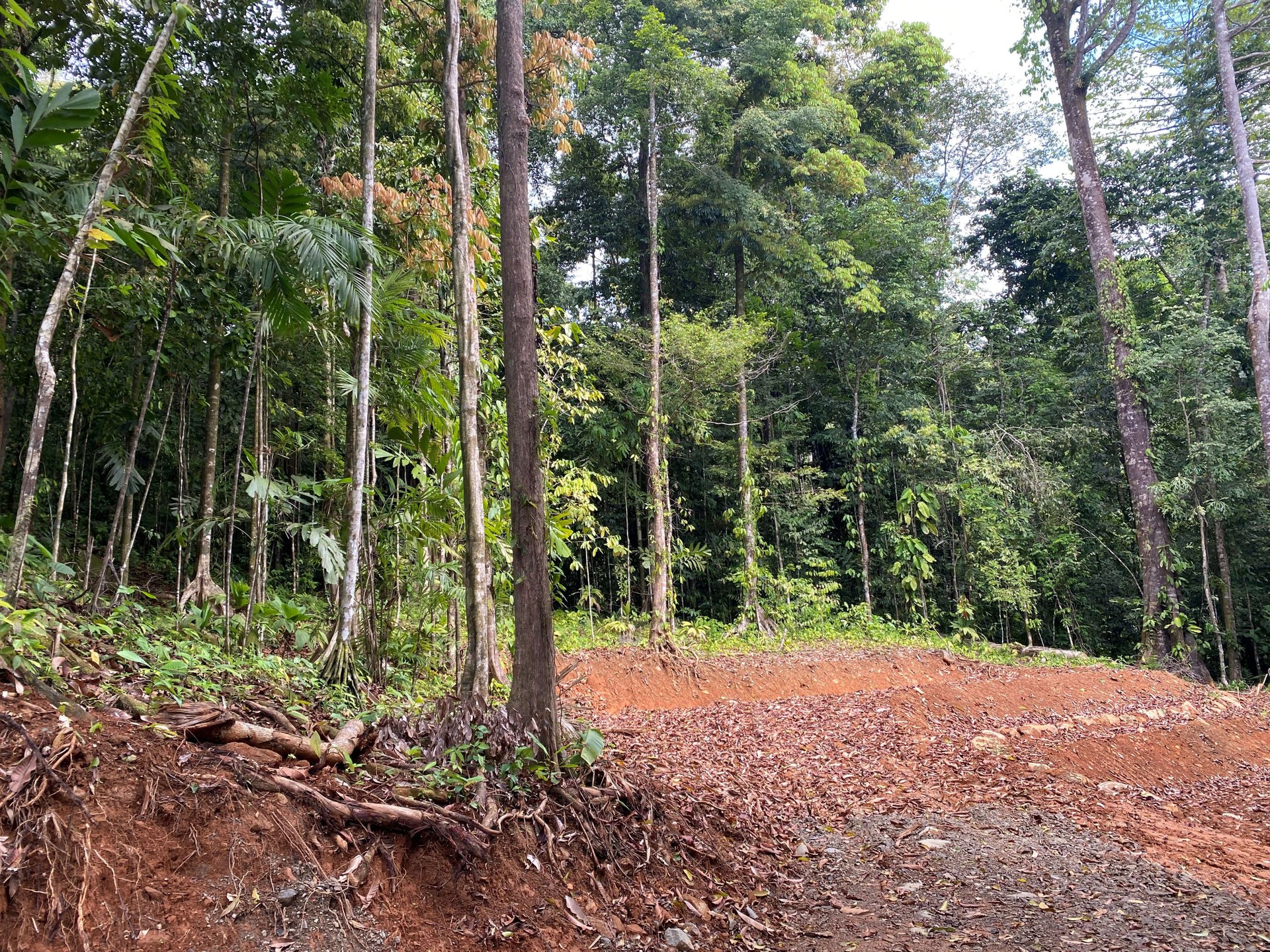 5.77 Acres With 4 Building Sites. Ocean Views, Rivers And Rainforest Abound In Cinco Ventanas! Ojochal 