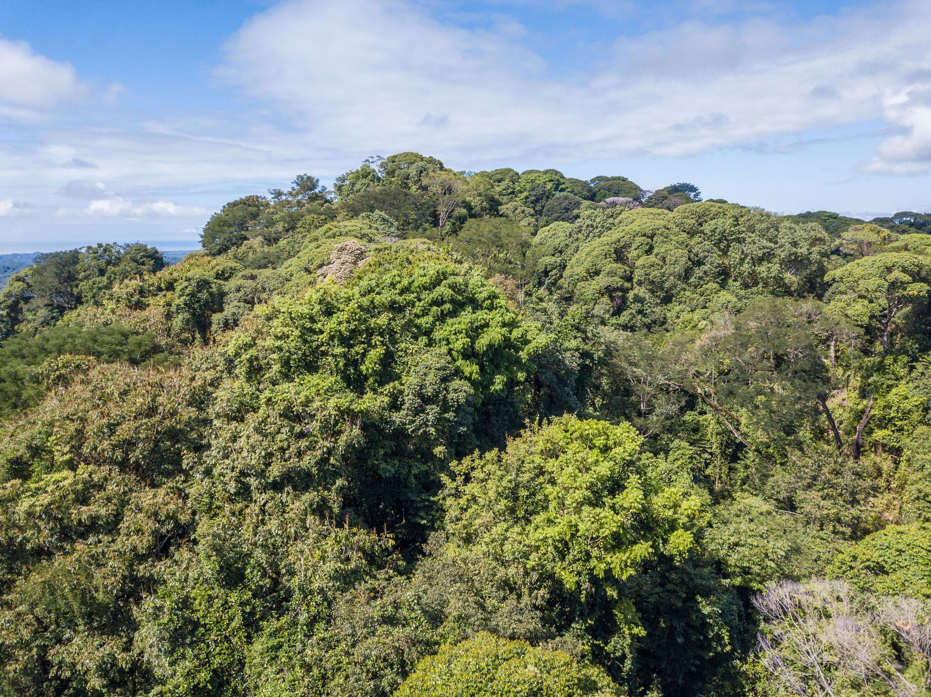 Mountain land with ocean view of Manuel Antonio/Quepos Quepos Puntarenas