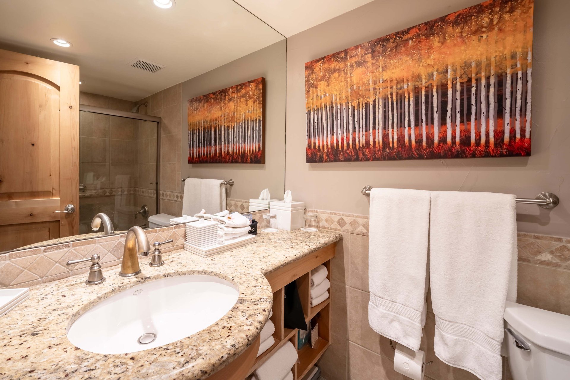 The Lodge at Vail Condominiums #262