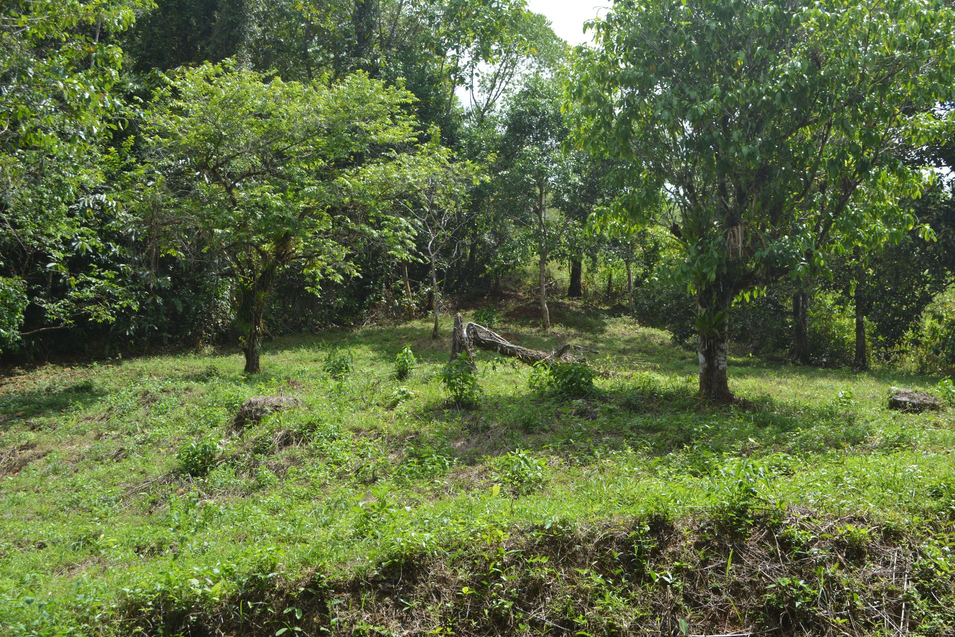 42 Acres With Waterfalls, Ocean Views & Multiple Building Sites Sliencio Ariba