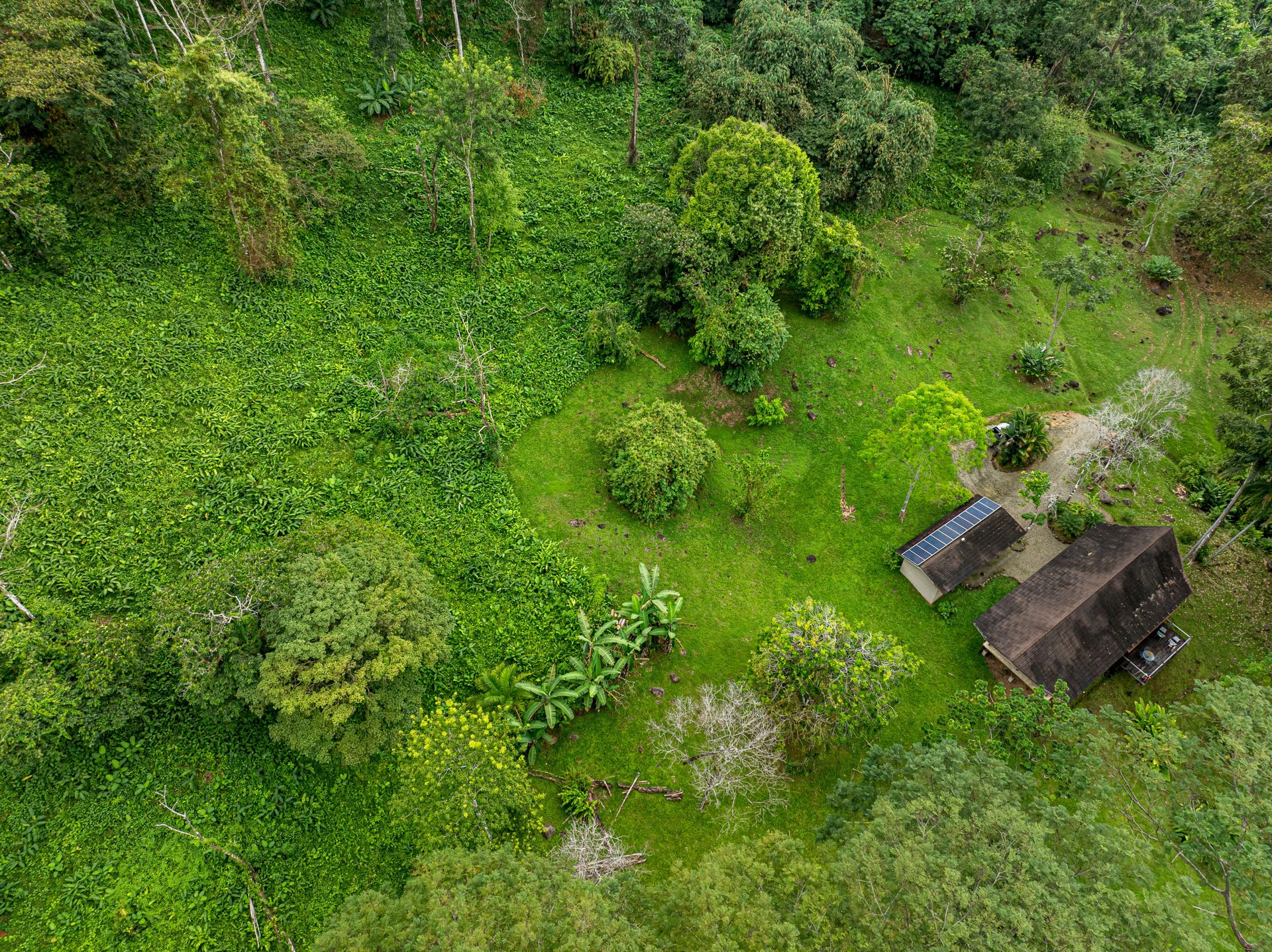 Embrace Harmony in Nature on 12 Acres of Mountain and Ocean view Serenity