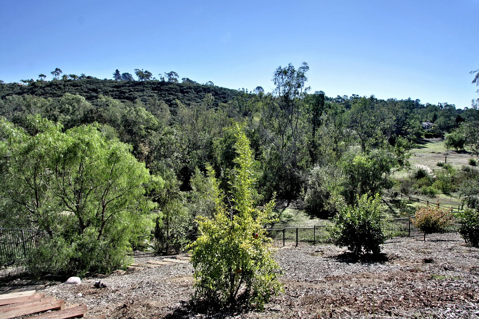 Exciting Rental, Fabulous Location