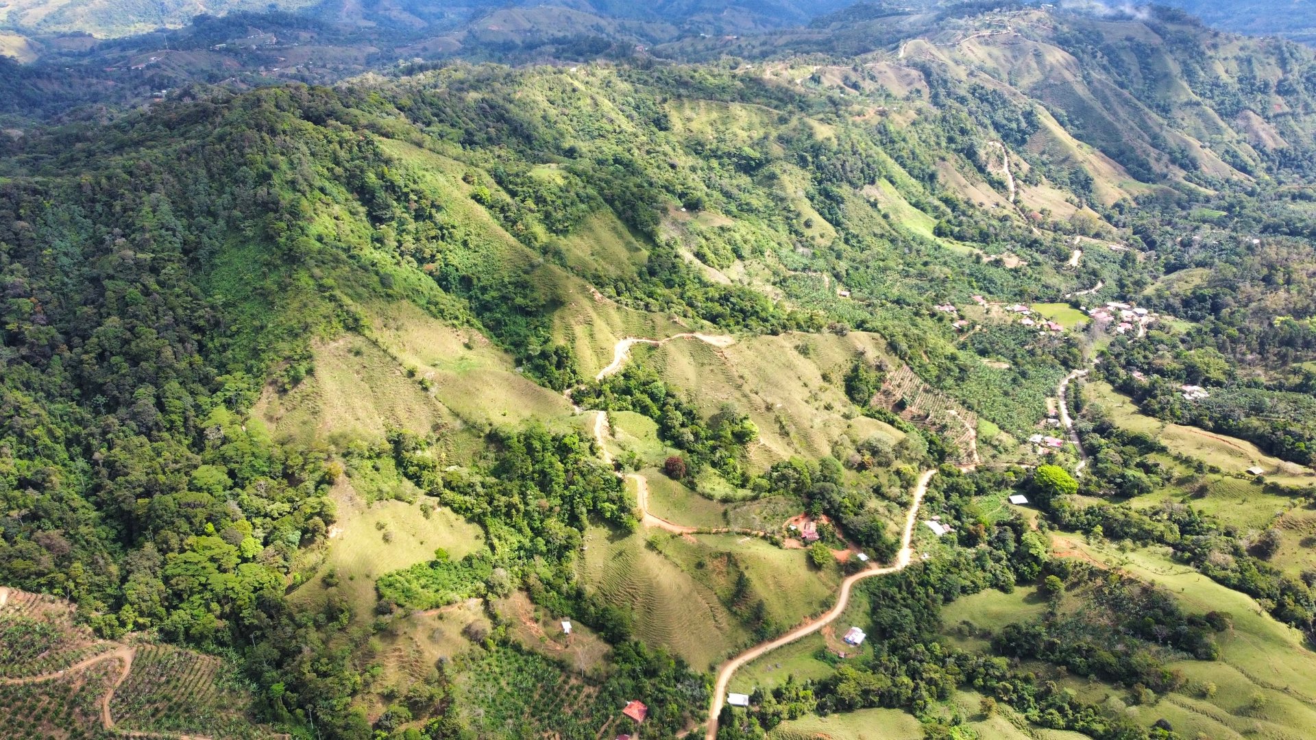 49 Acres Development Farm in San Luis with two Existing Homes 