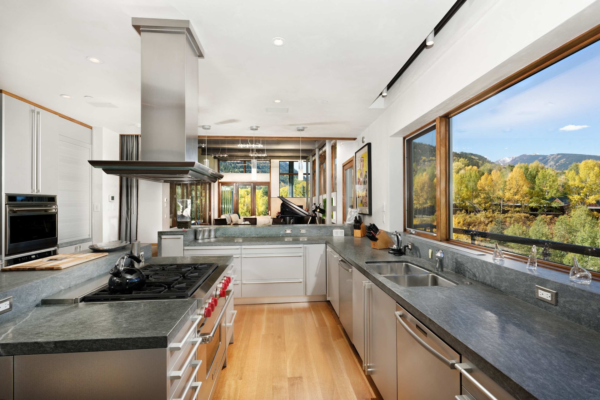 Beautiful 8 Bedroom Home in Aspen 