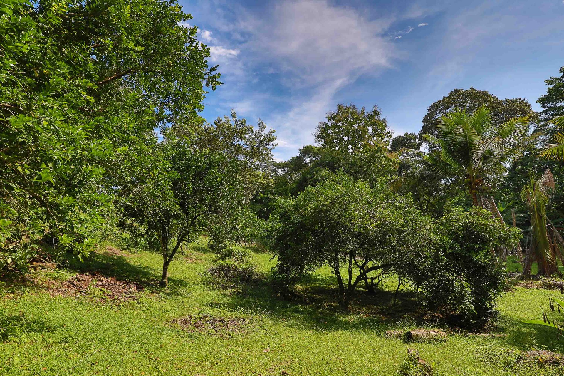 Tropical Paradise Farm in the Heart of Quepos