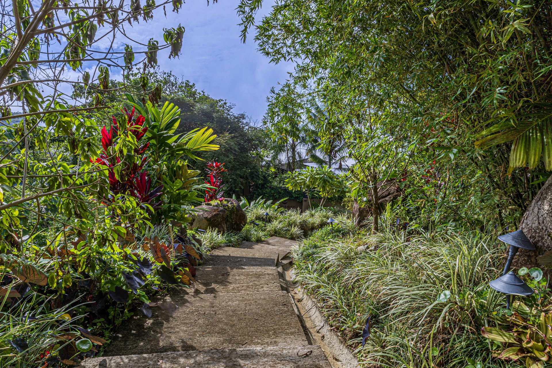 "MU Estate: A Tropical Sanctuary of Luxury and Sustainability in Costa Verde Estates, Dominical"