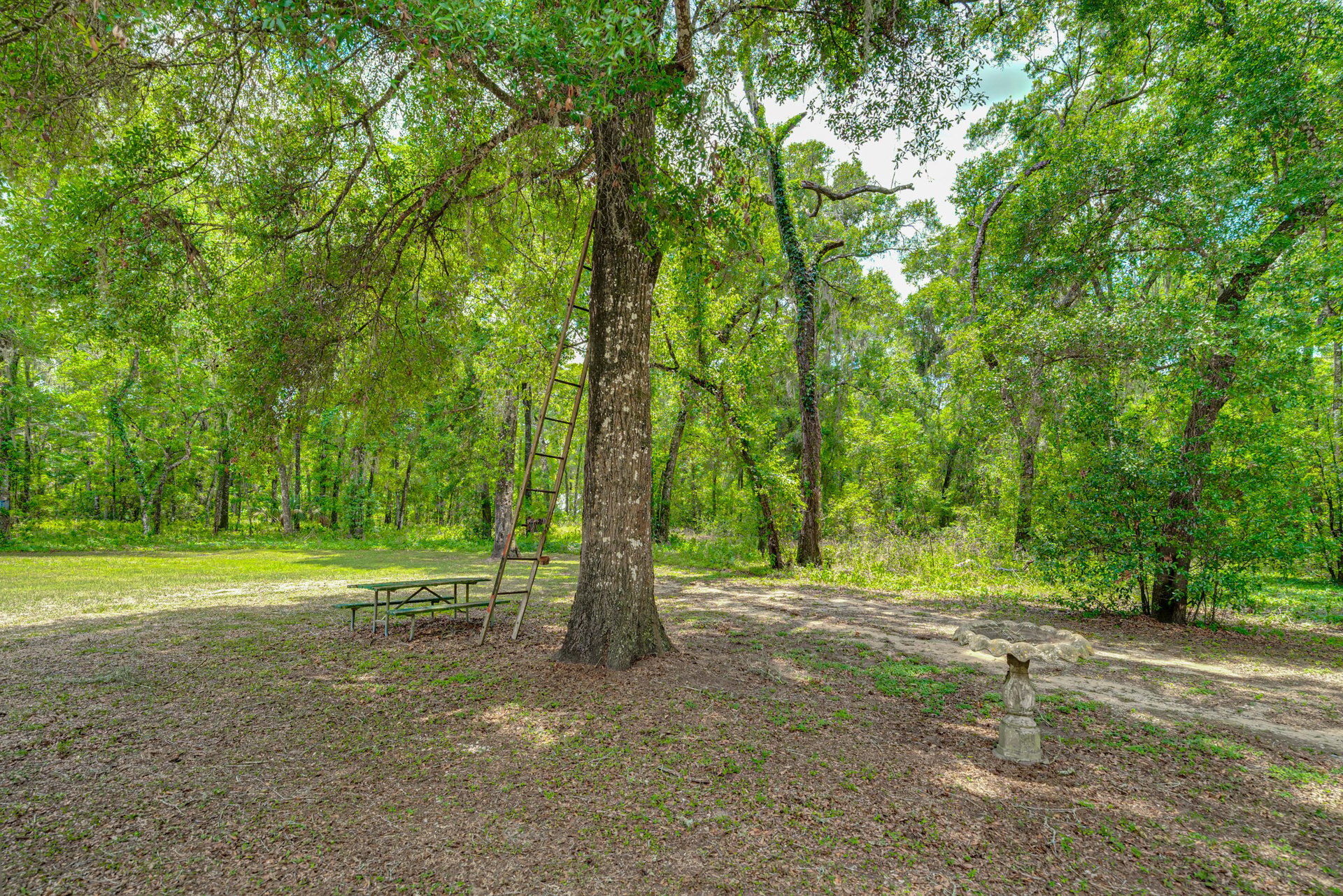 34910 TIPTON  ROAD