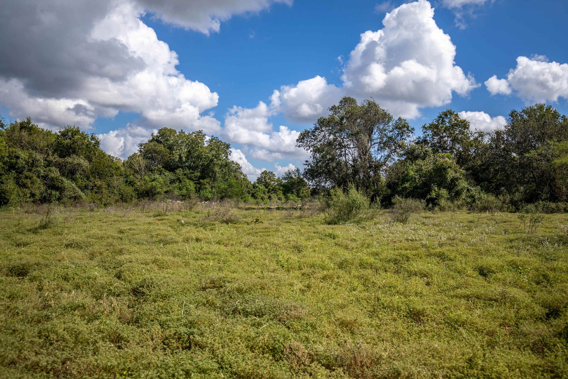 Lovers Lane River Ranch | 140± Acres | DeWitt County