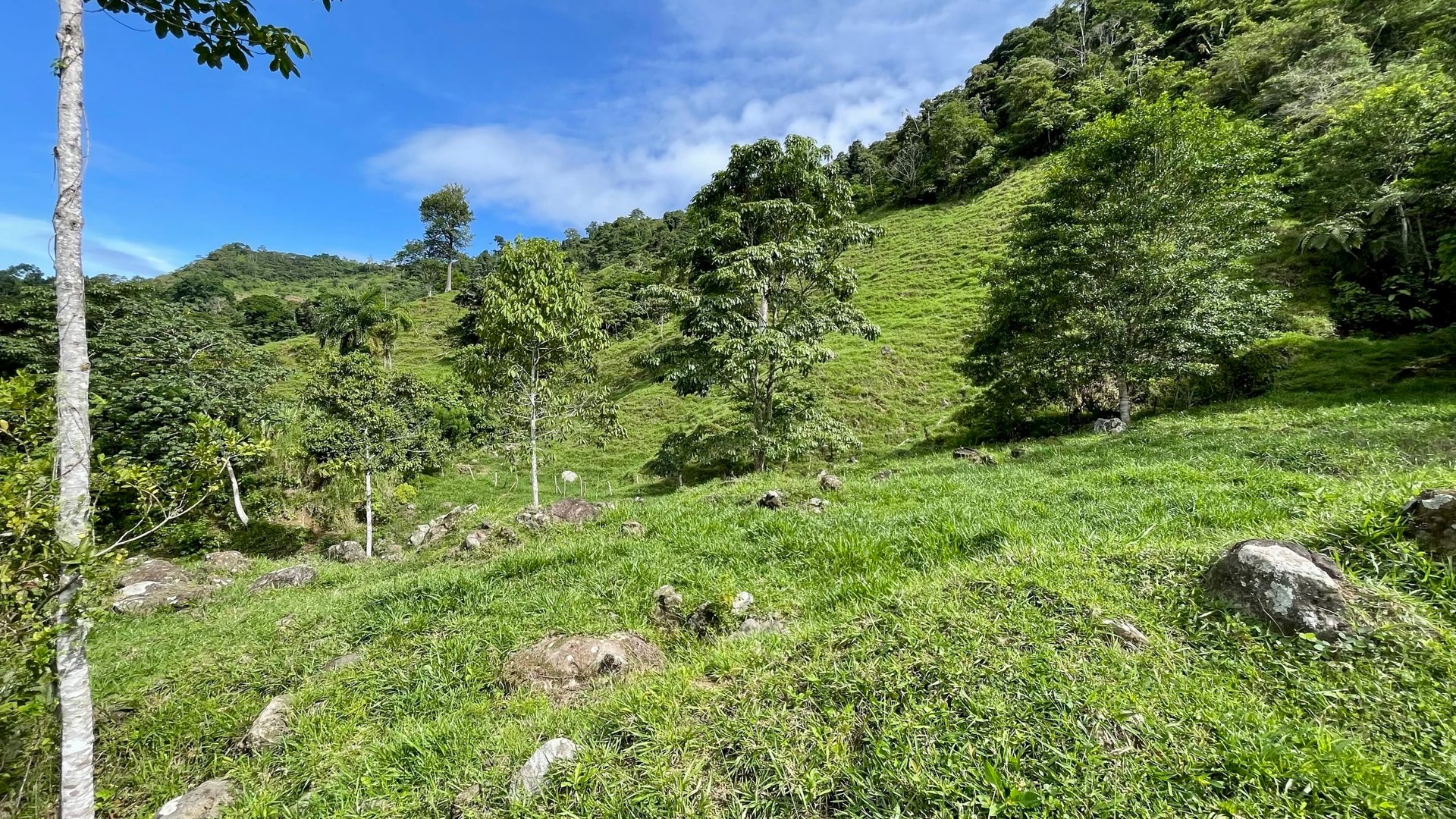 FIRE SALE!! Ocean View Farm in San Luis de Morete, Over 23 Acres