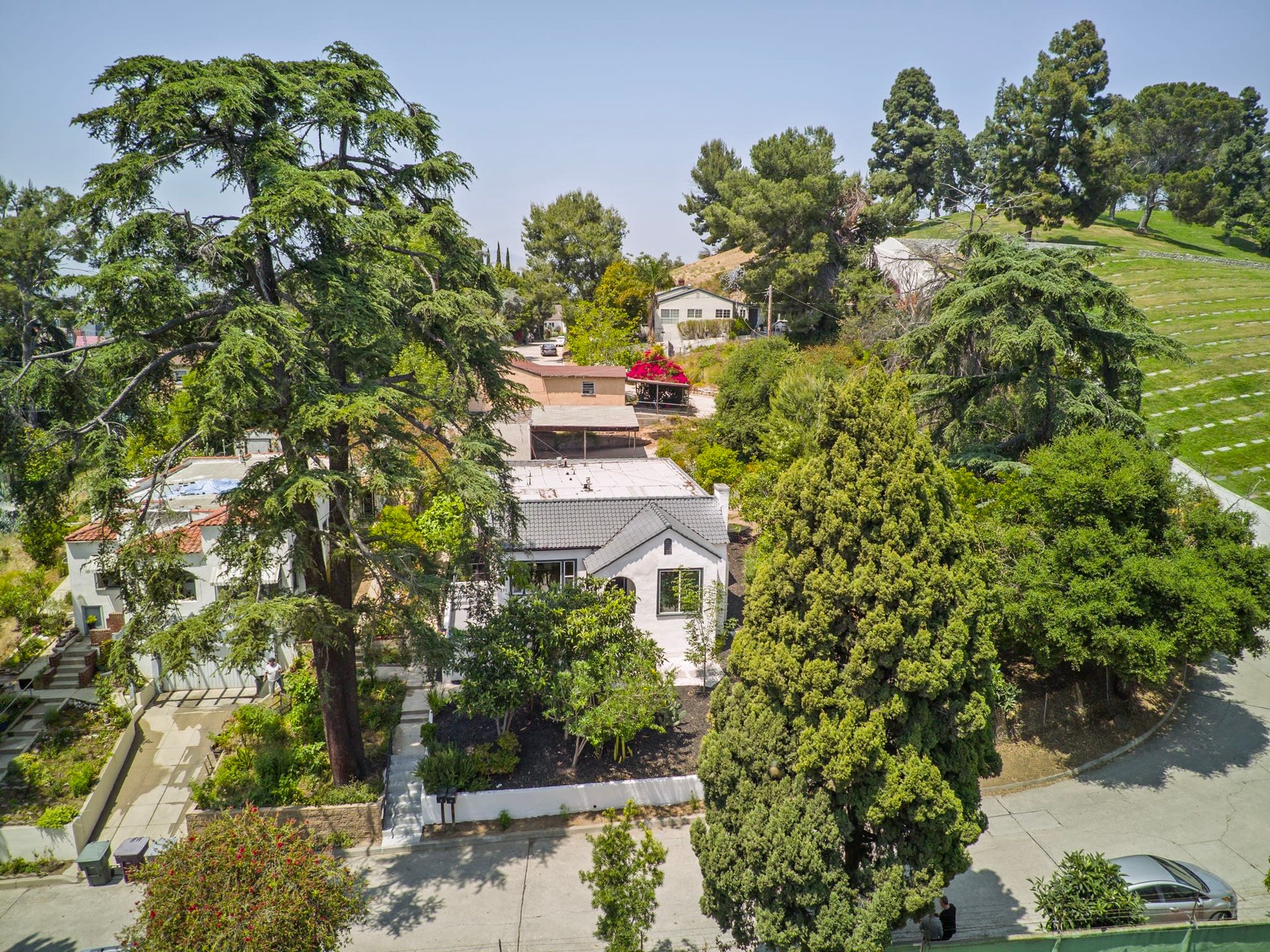 Bright Modern Duplex on a Perched Knoll in Adams Hill