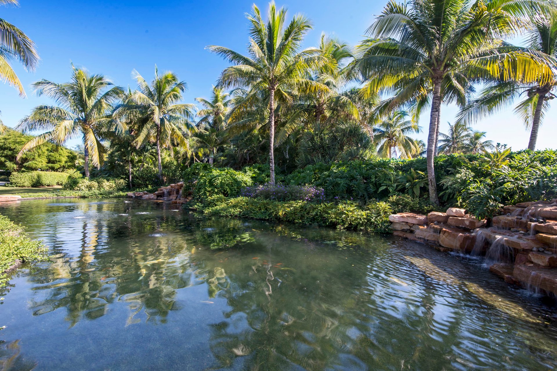 CAPTIVA