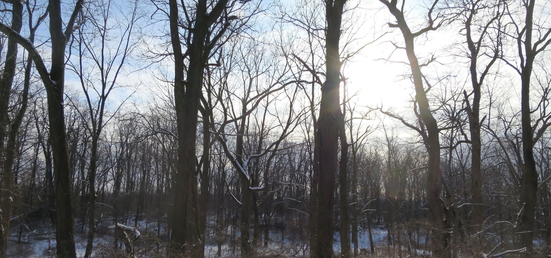 1451 Lake Rd.