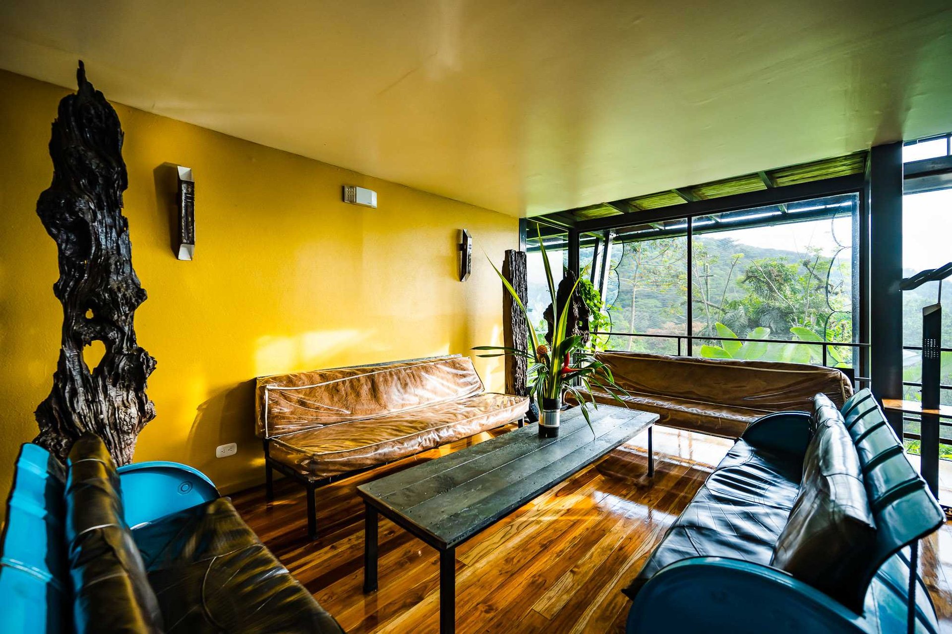 Celeste Mountain Lodge | Mountain Hotel/Resort/Hostel For Sale!