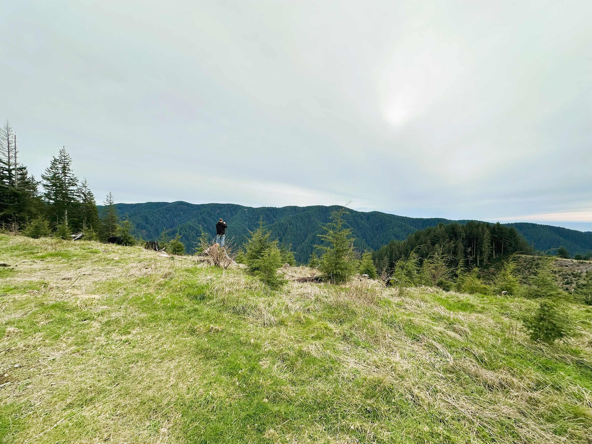 Cummins Creek Wilderness Overlook