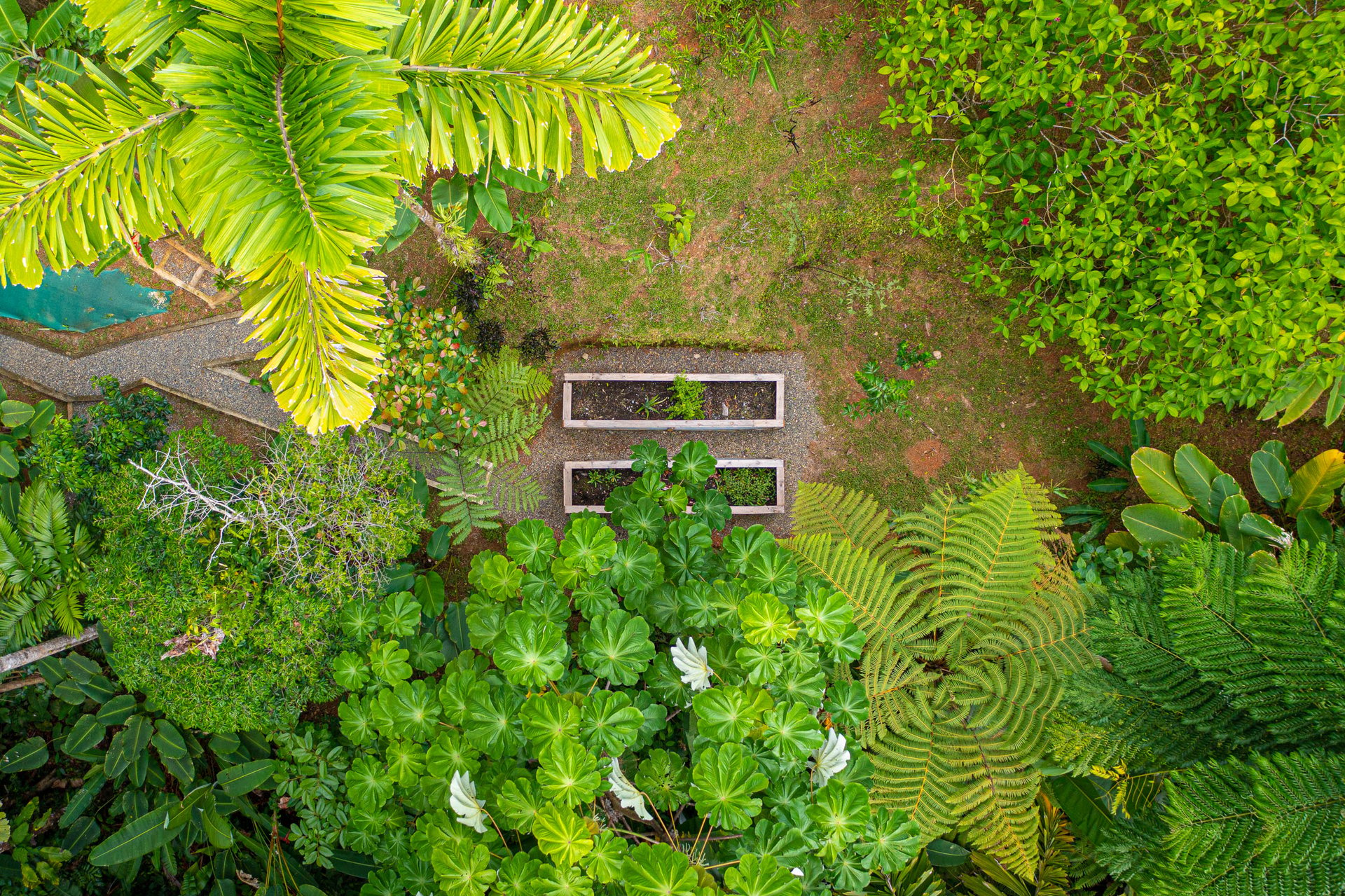 Uvita Hills Sophisticated Ocean View Elegance