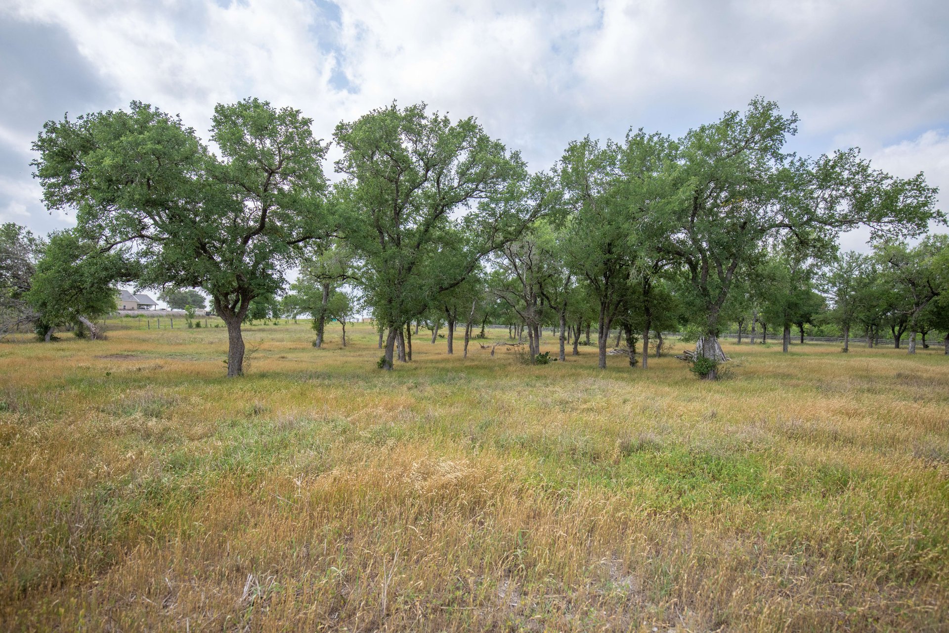Gorgeous 98.5 Acre Horse Property PLUS           4900 Sq Ft Home