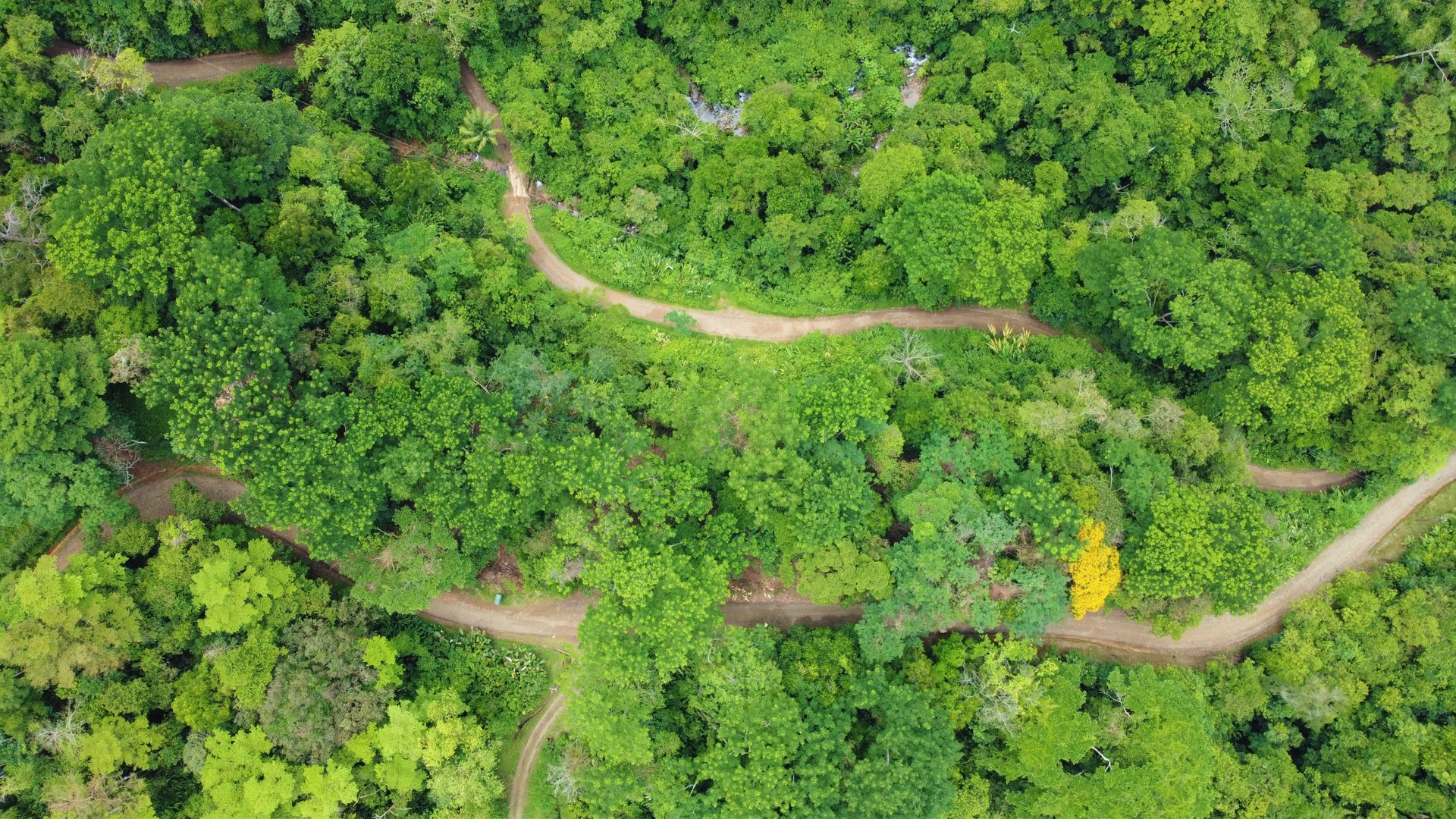 3.5 Acres of Paradise In Uvita, Jungle View!