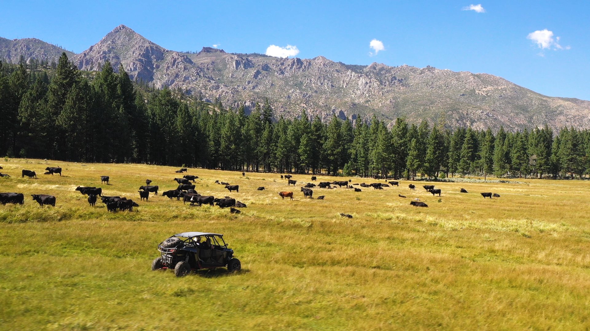 Randall Springs Ranch
