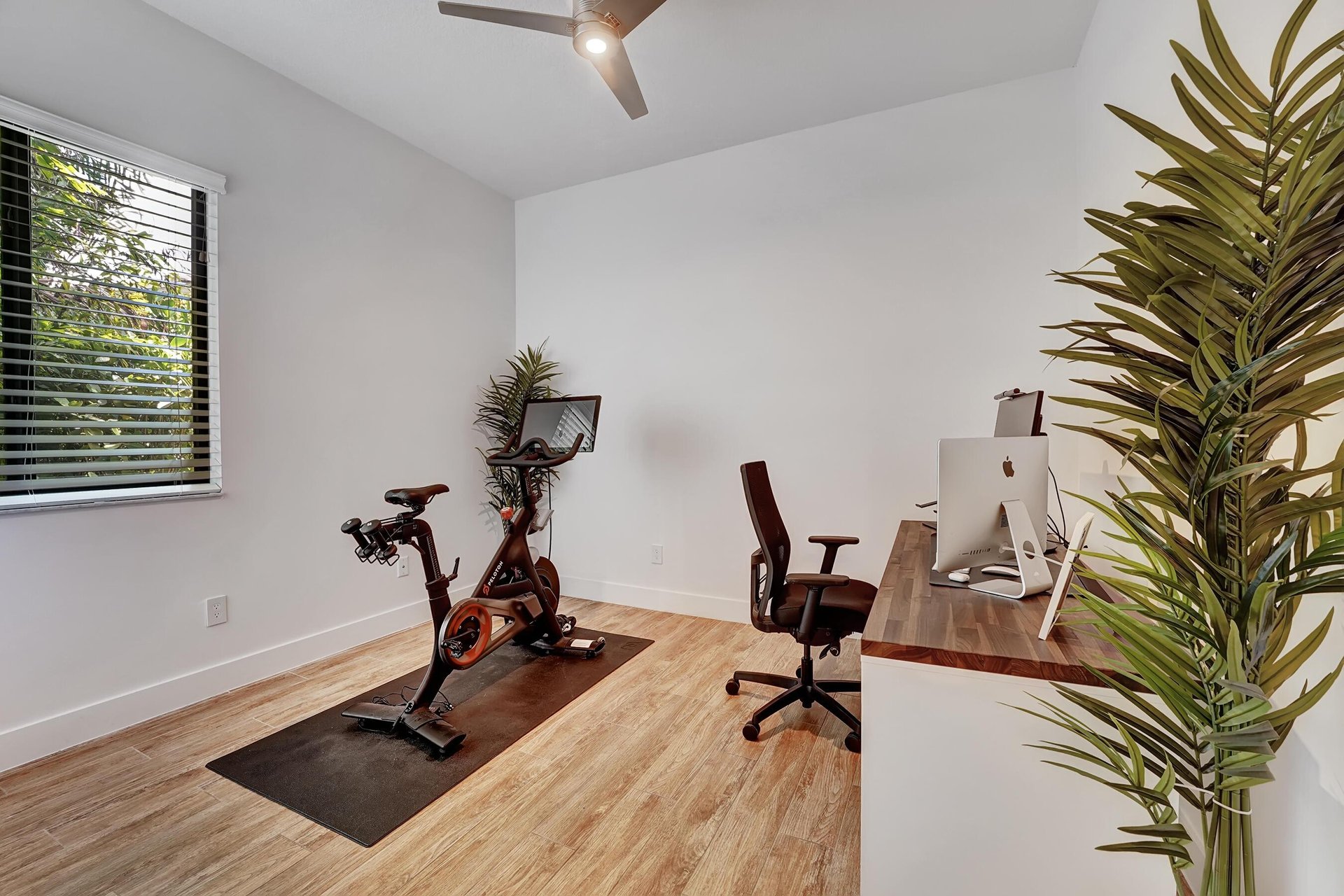 Home office with a desk and computer, exercise bike, wood-look flooring, and tall plants.