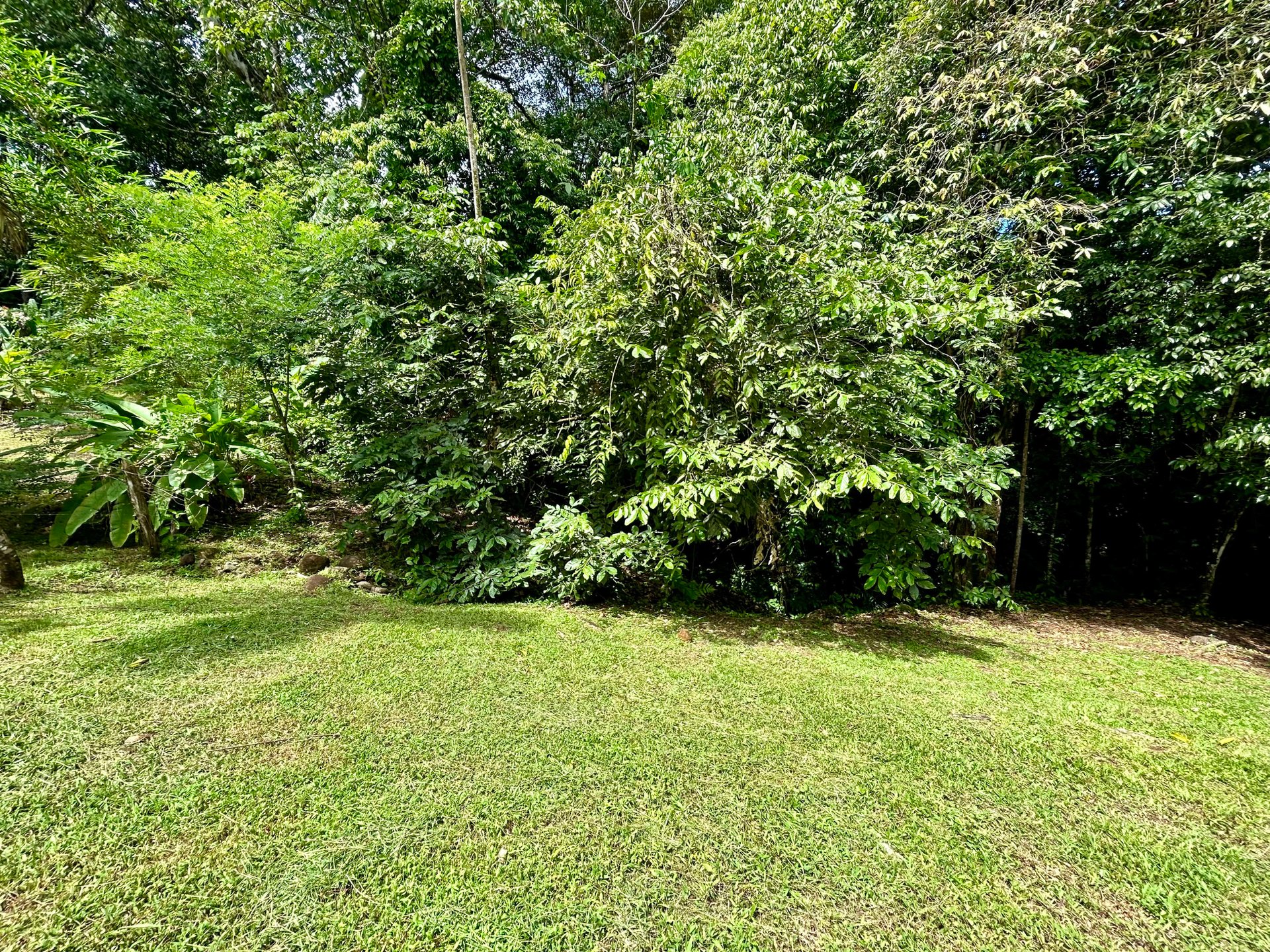 Secret Paradise Property in Altos de la Colonia