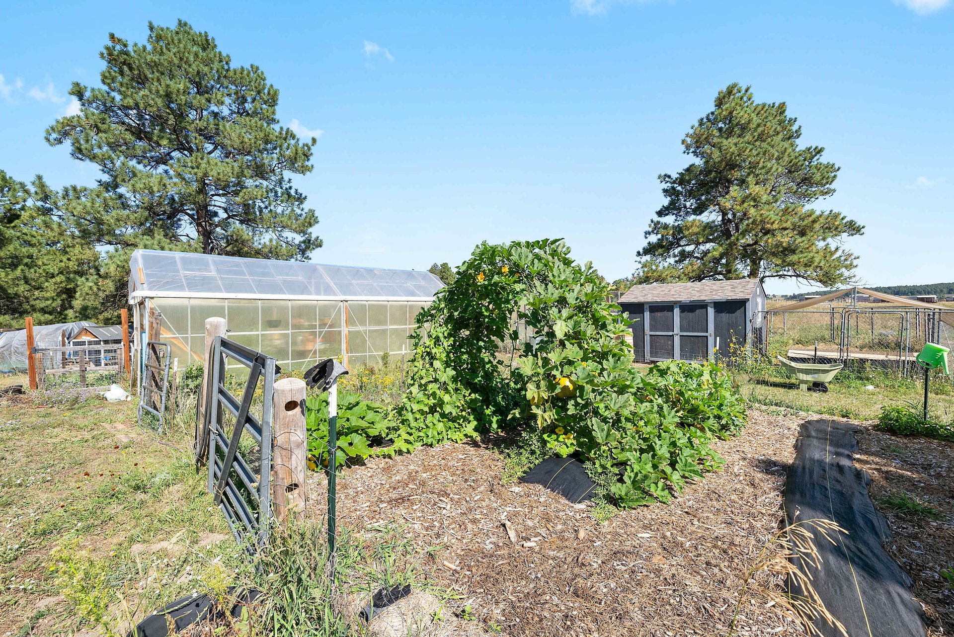 9110 Morgan Road