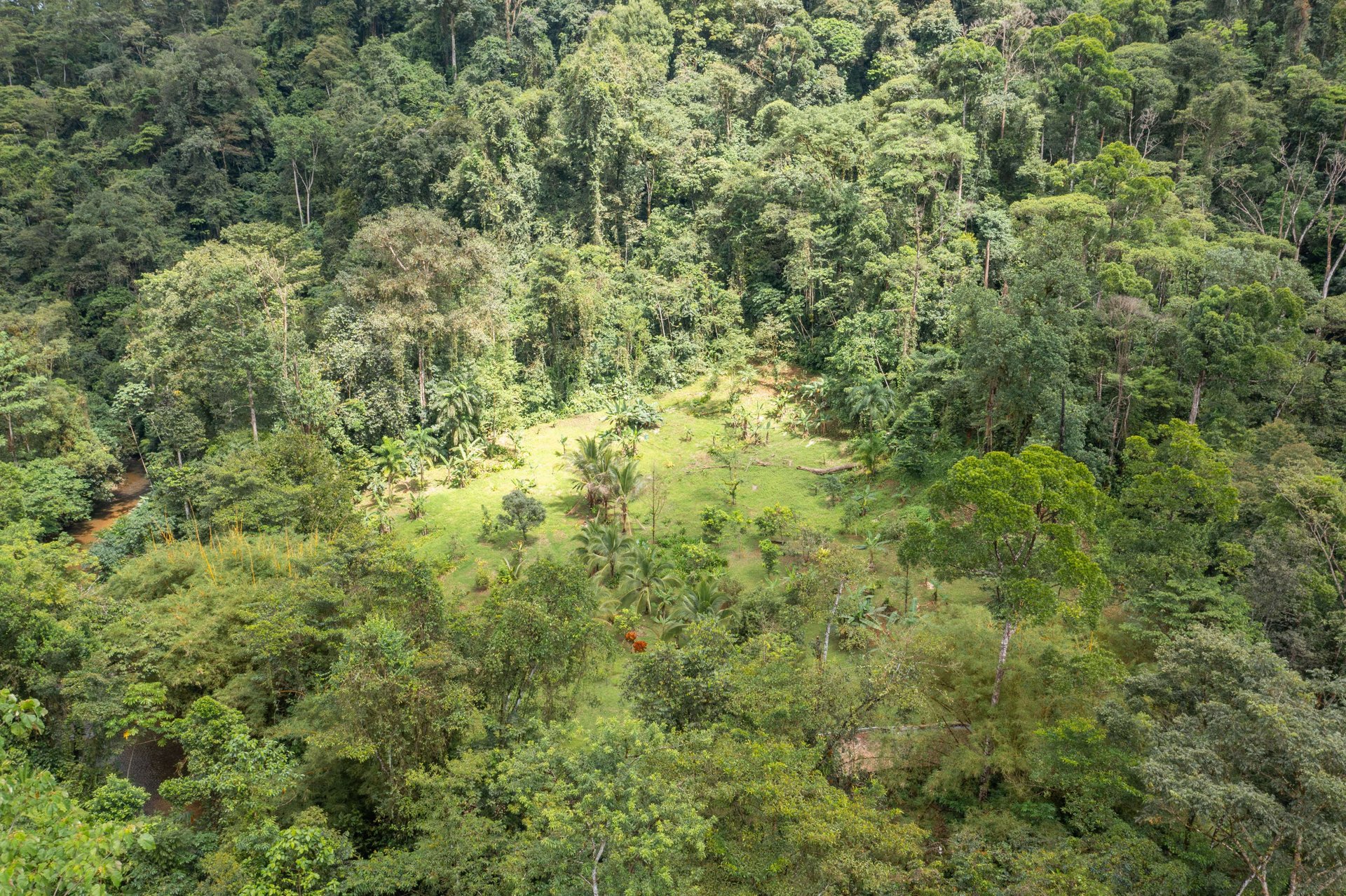 Mountain land with ocean view of Manuel Antonio/Quepos Quepos Puntarenas