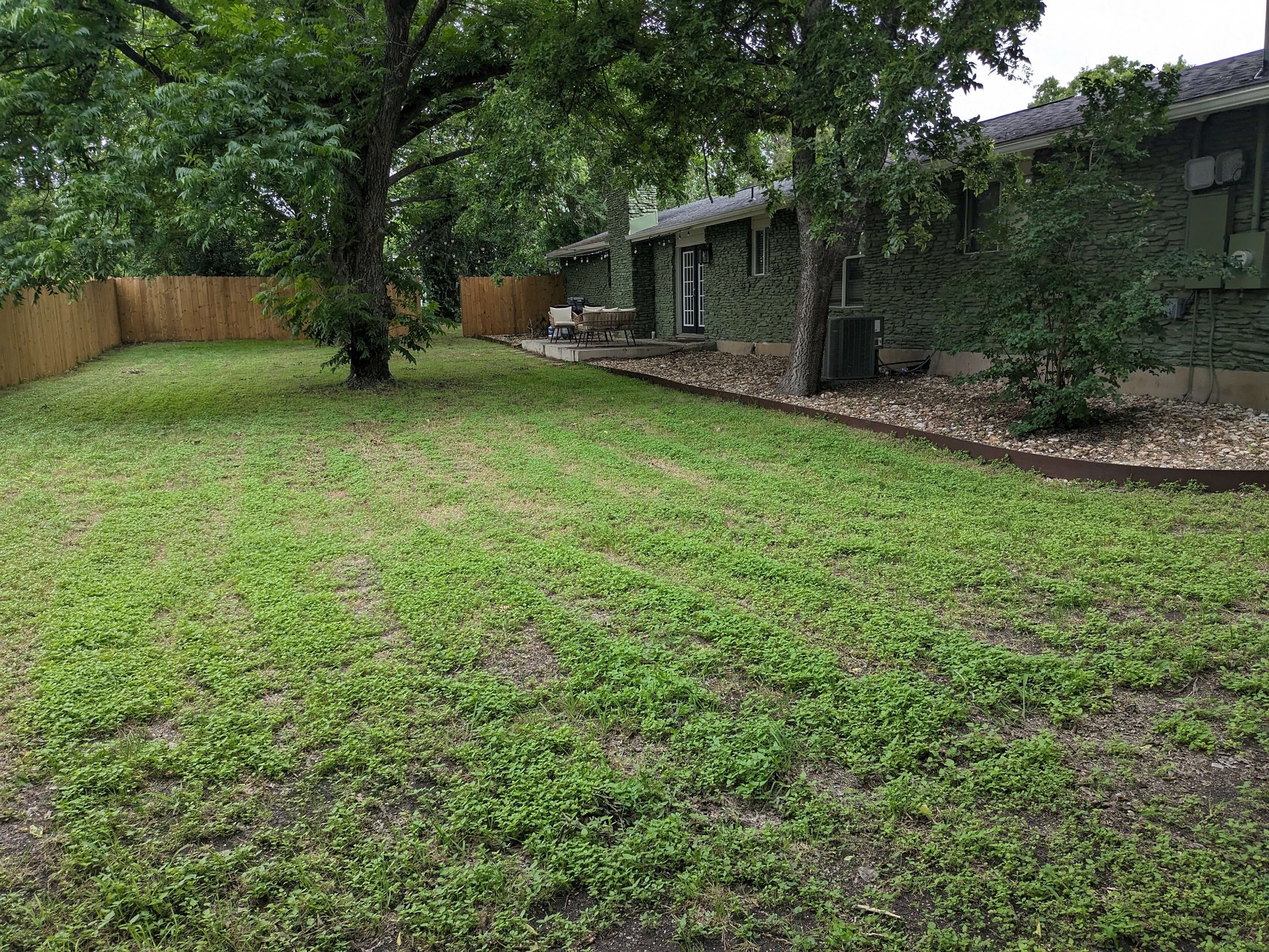 Dog friendly mid-century 1-story home near Domain