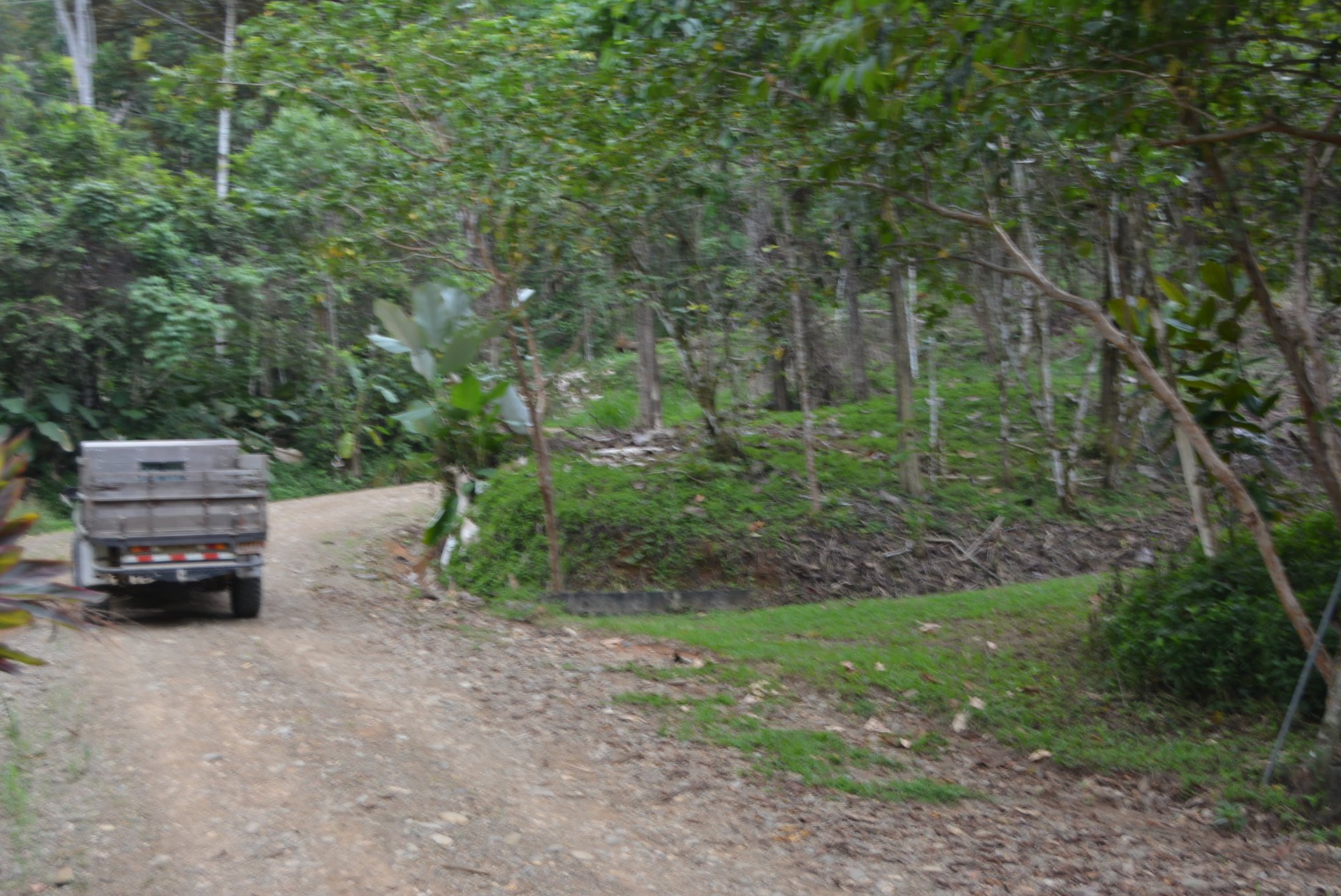 Lagunas 5 Lots 1 Acre+ Lagunas/Dominical