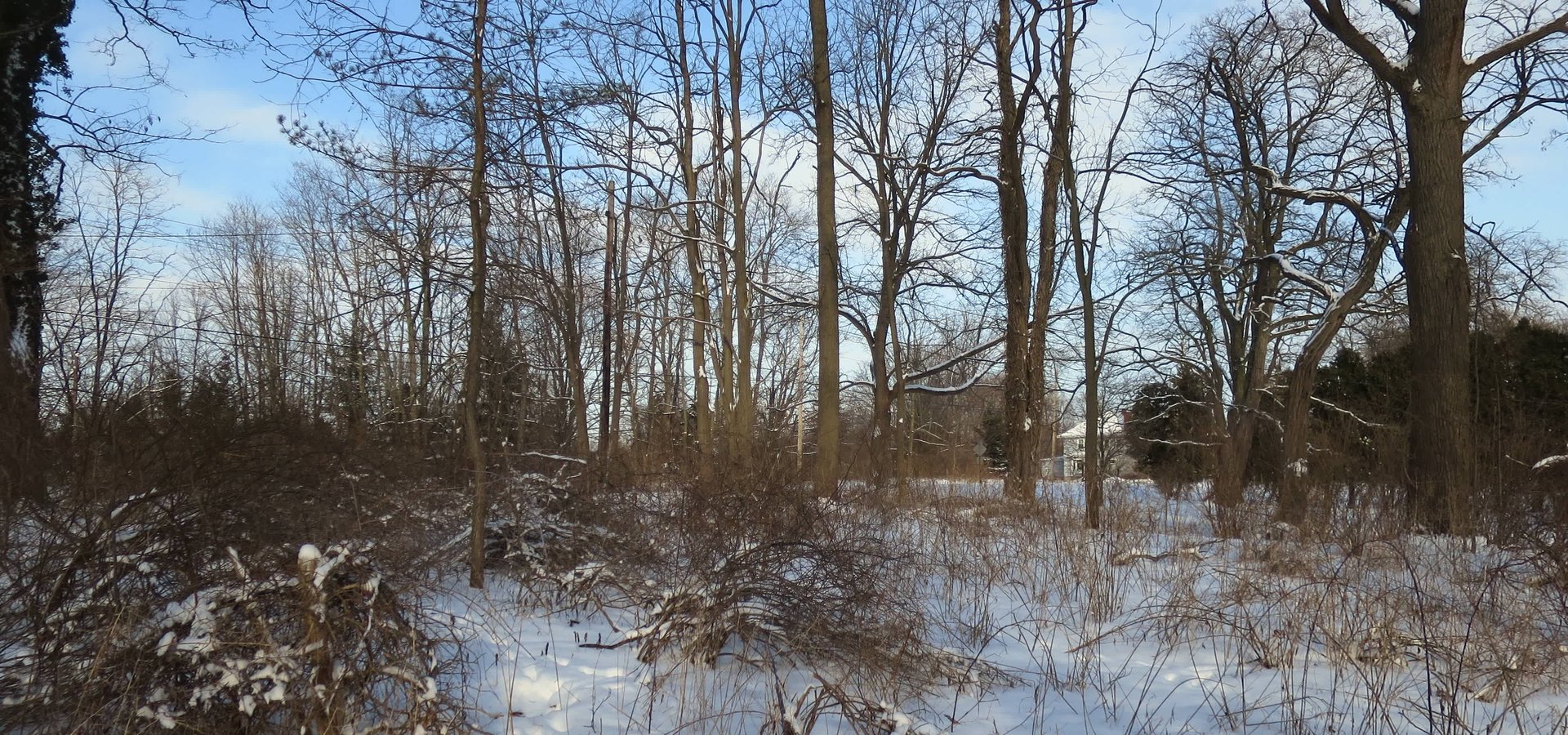 1451 Lake Rd.