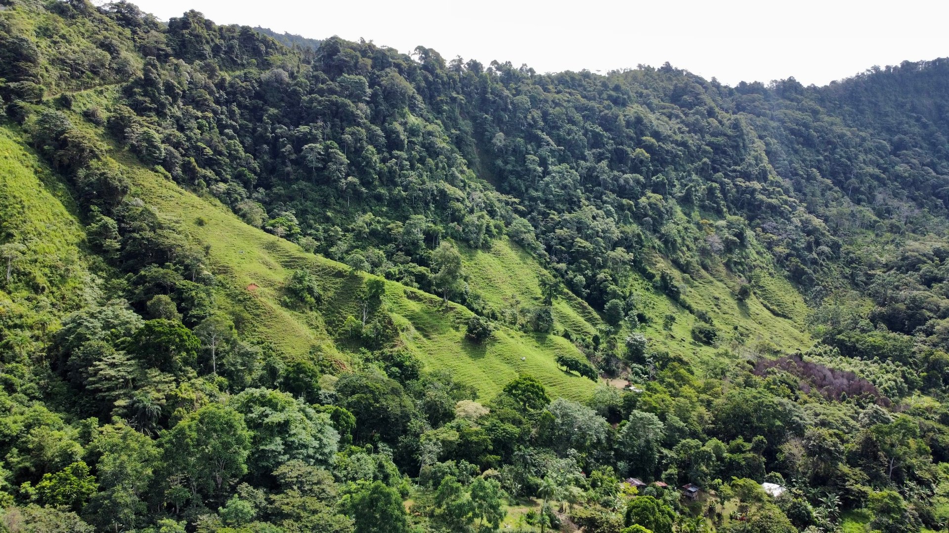 FIRE SALE!! Ocean View Farm in San Luis de Morete, Over 23 Acres