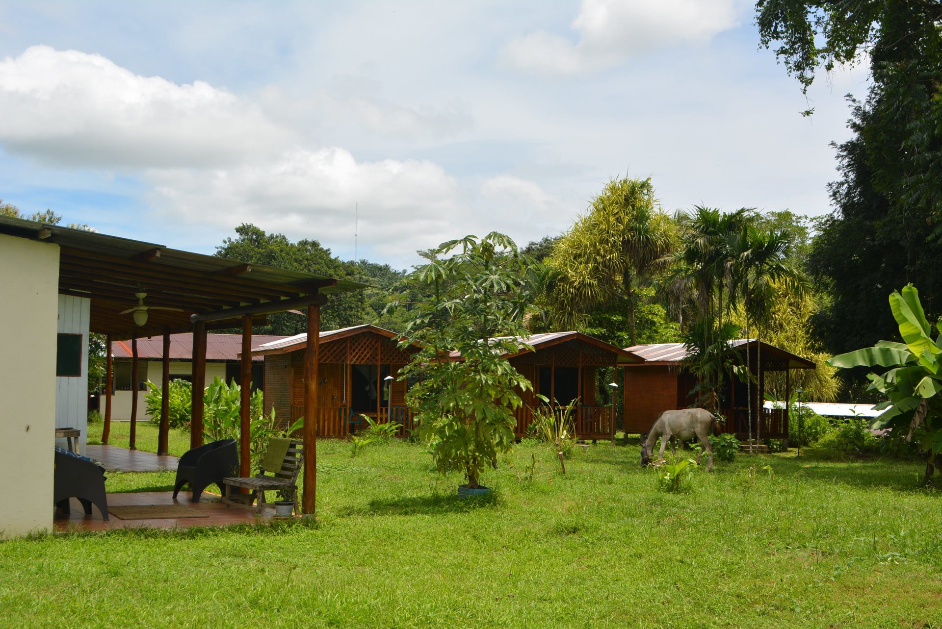 10 Acre Rio Sierpe Paradise Residential And Cabinas