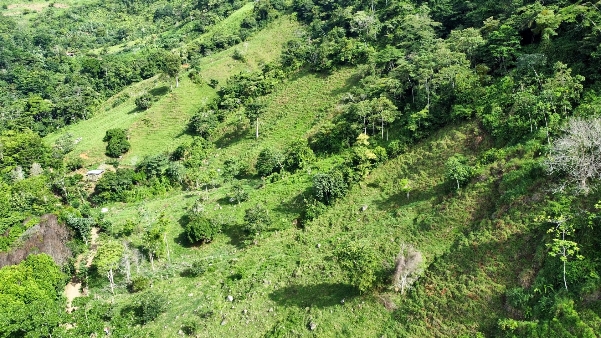 FIRE SALE!! Ocean View Farm in San Luis de Morete, Over 23 Acres