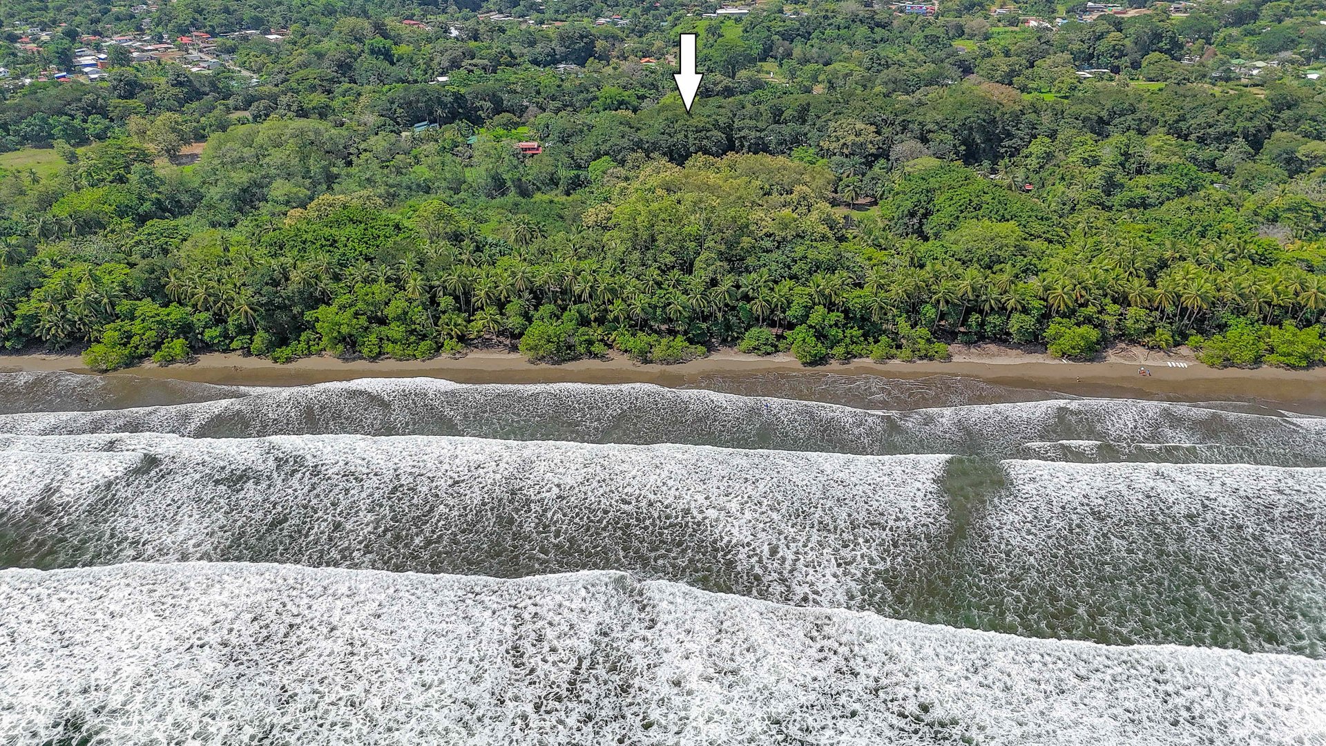 A highly-rated and high-occupancy resort with a hotel, cabins, on-site restaurant and a pool an easy 5-minute walk from PLAYA UVITA and Marino Ballena National Park!