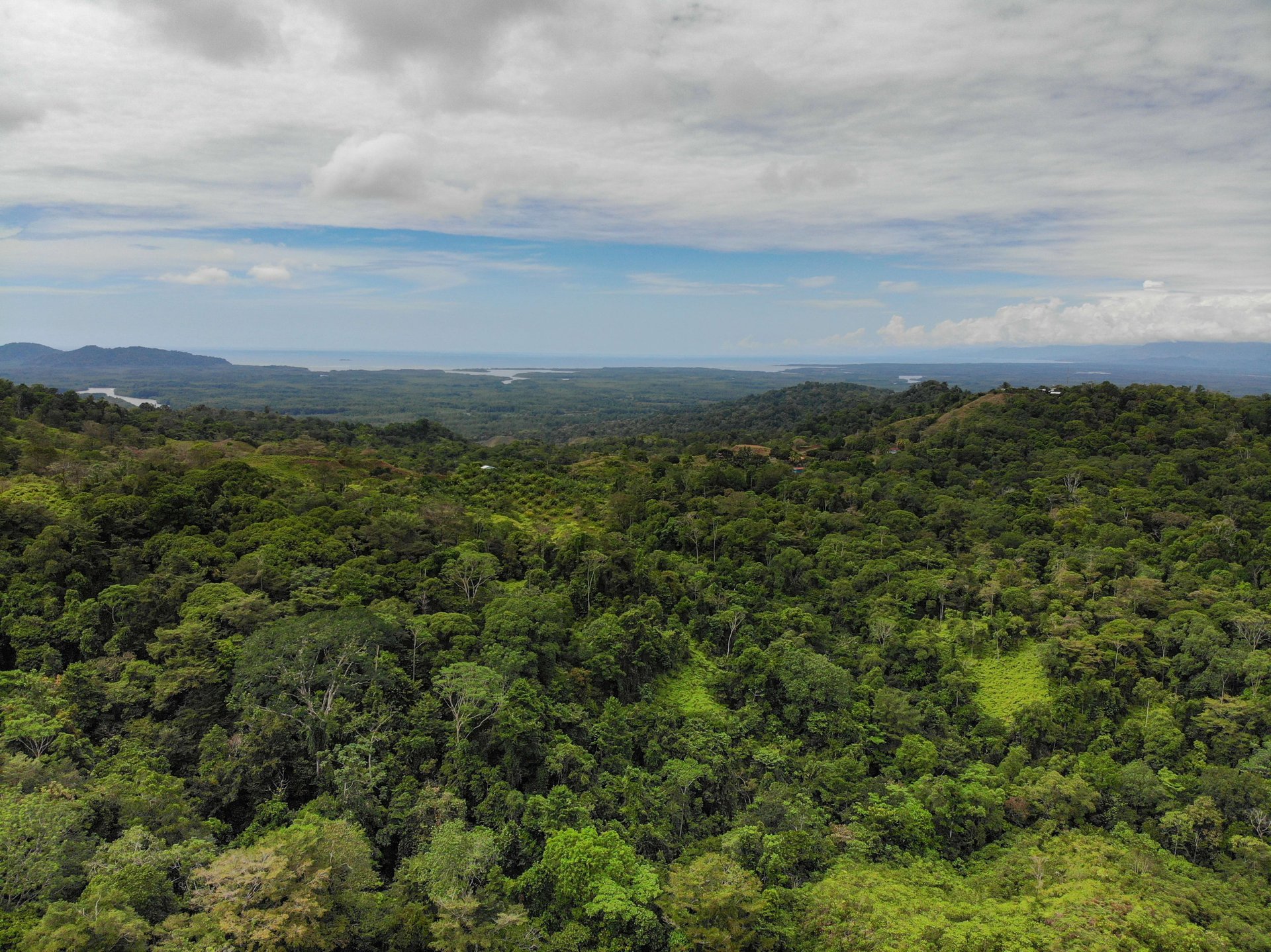 Sierpe Sunset and Jungle Views, 10 Acre Property, OSA!
