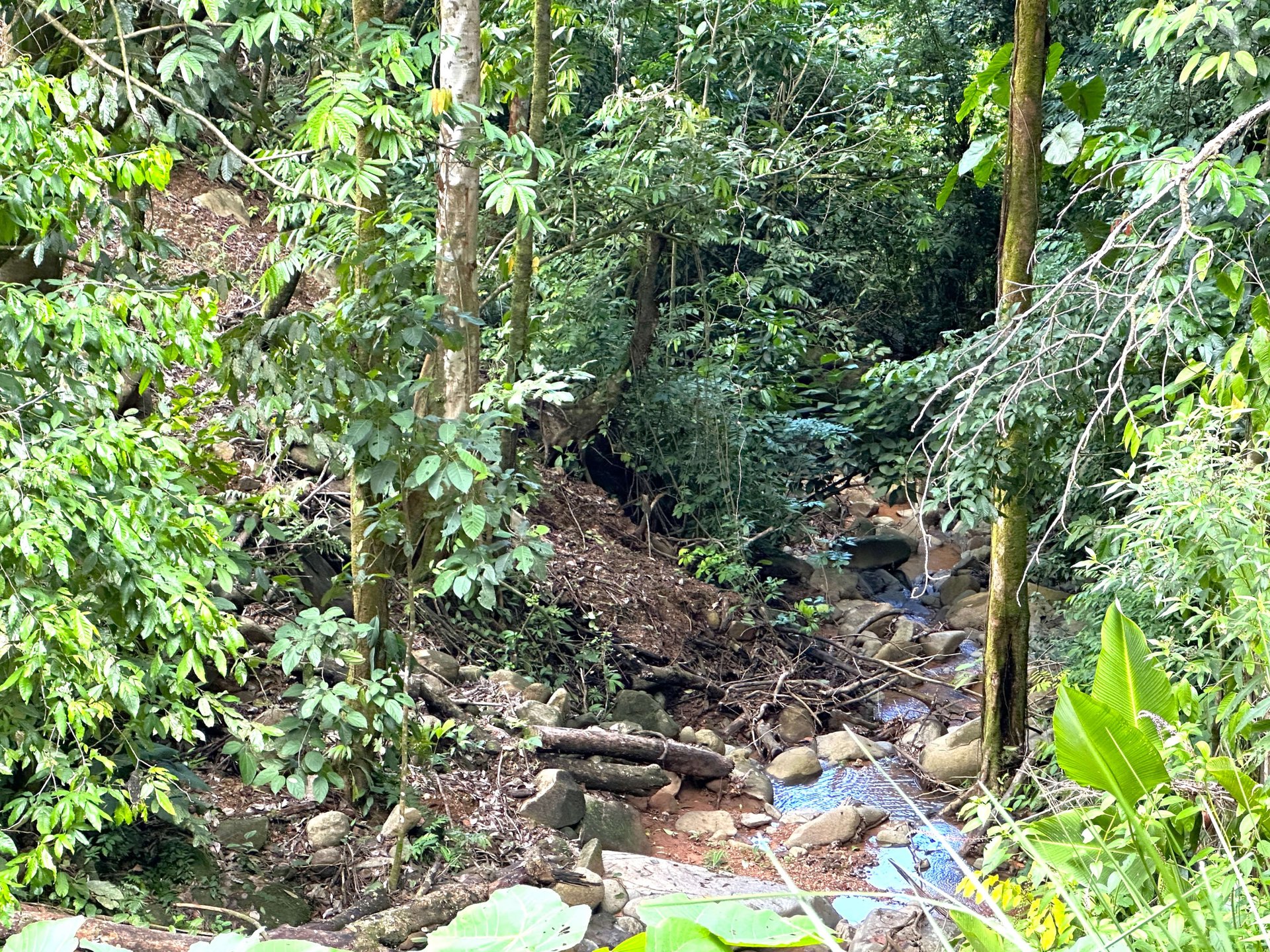 5.77 Acres With 4 Building Sites. Ocean Views, Rivers And Rainforest Abound In Cinco Ventanas! Ojochal 