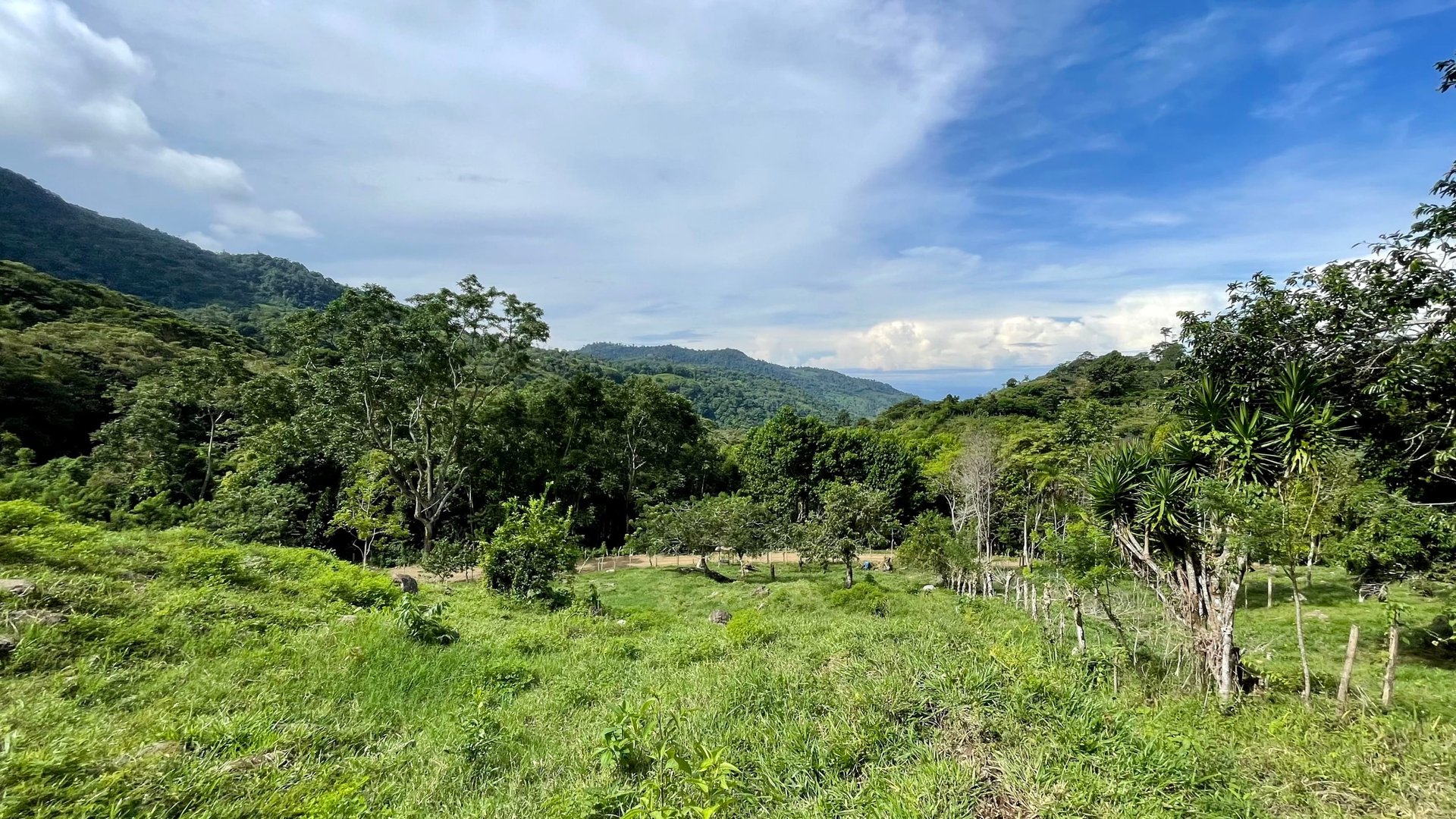 FIRE SALE!! Ocean View Farm in San Luis de Morete, Over 23 Acres