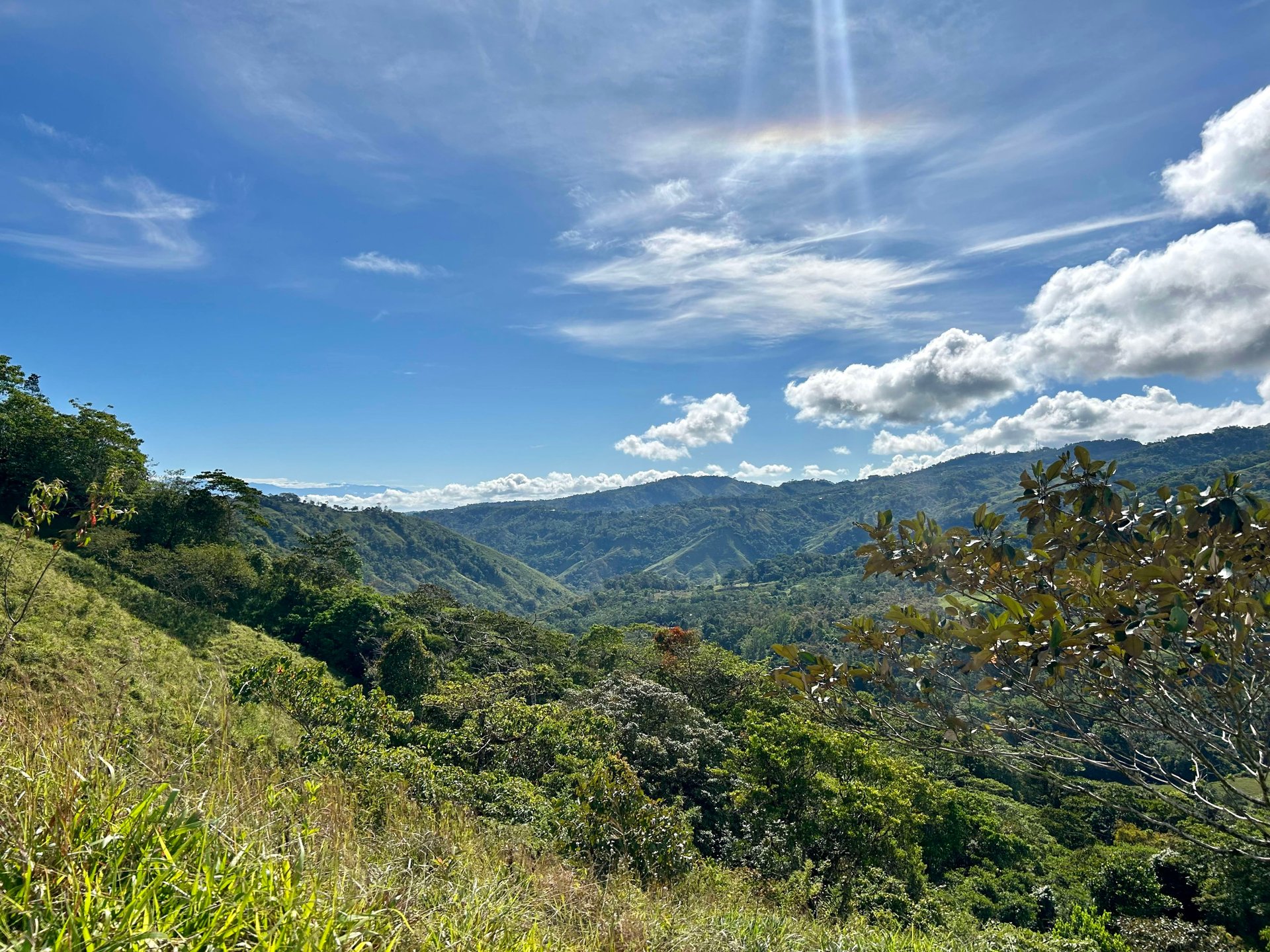 49 Acres Development Farm in San Luis with two Existing Homes 