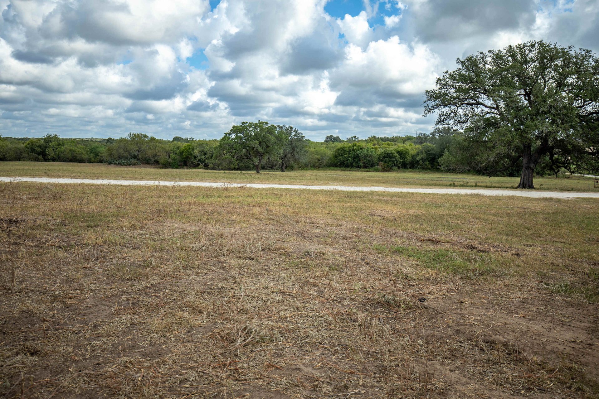The Poco Loco | 278± Acres | DeWitt County
