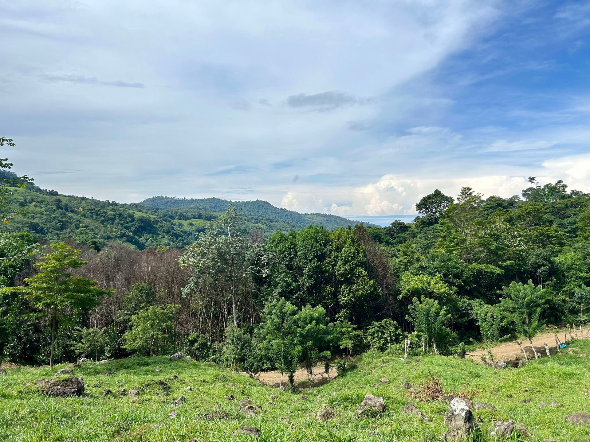 FIRE SALE!! Ocean View Farm in San Luis de Morete, Over 23 Acres
