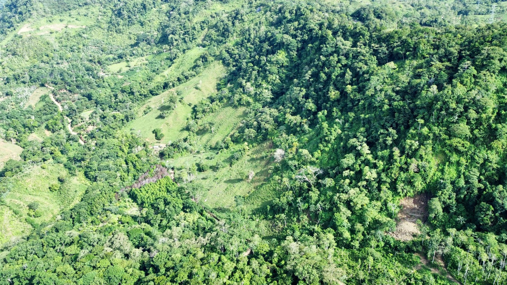FIRE SALE!! Ocean View Farm in San Luis de Morete, Over 23 Acres