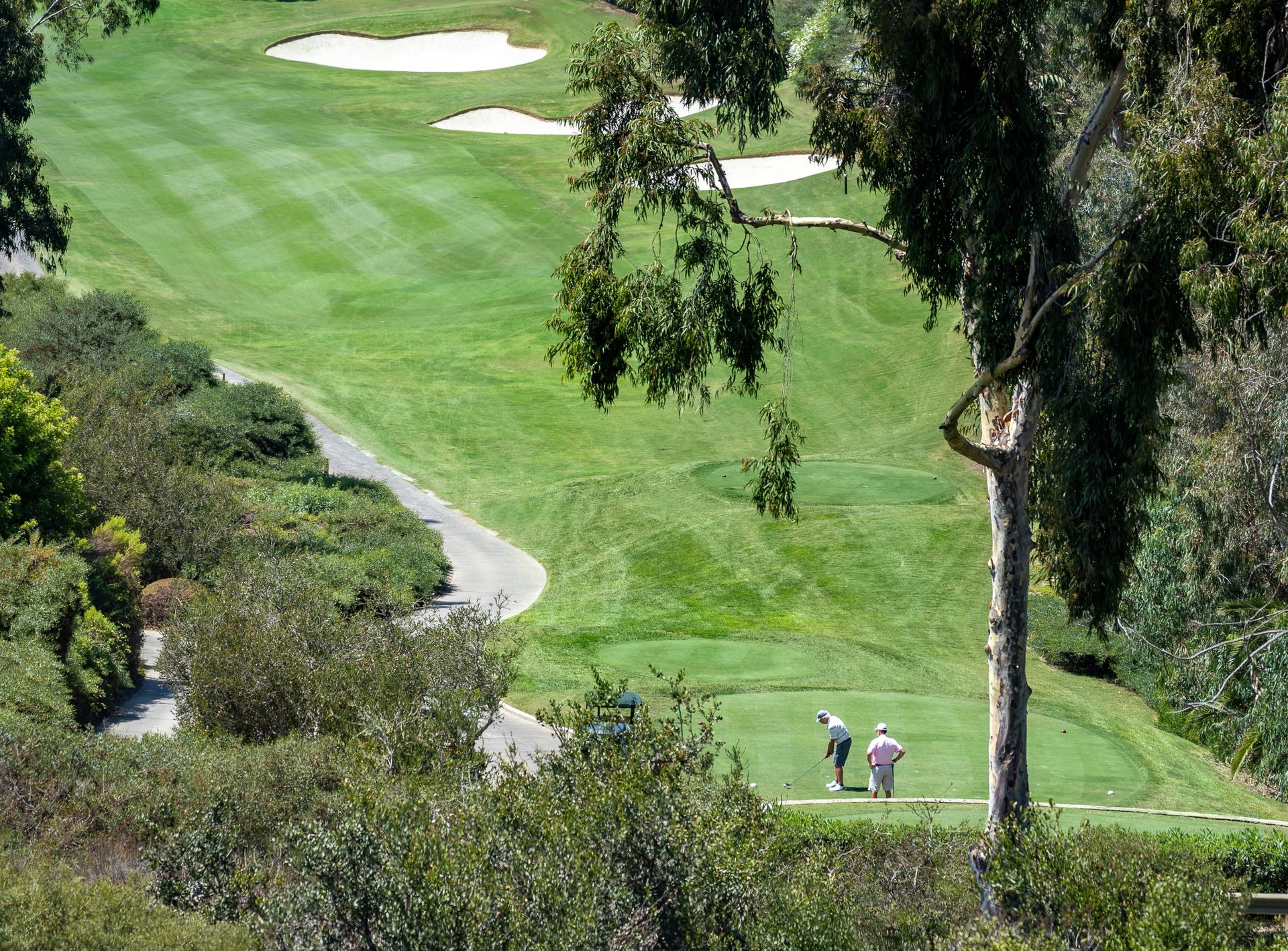 Above The Course & The Coast